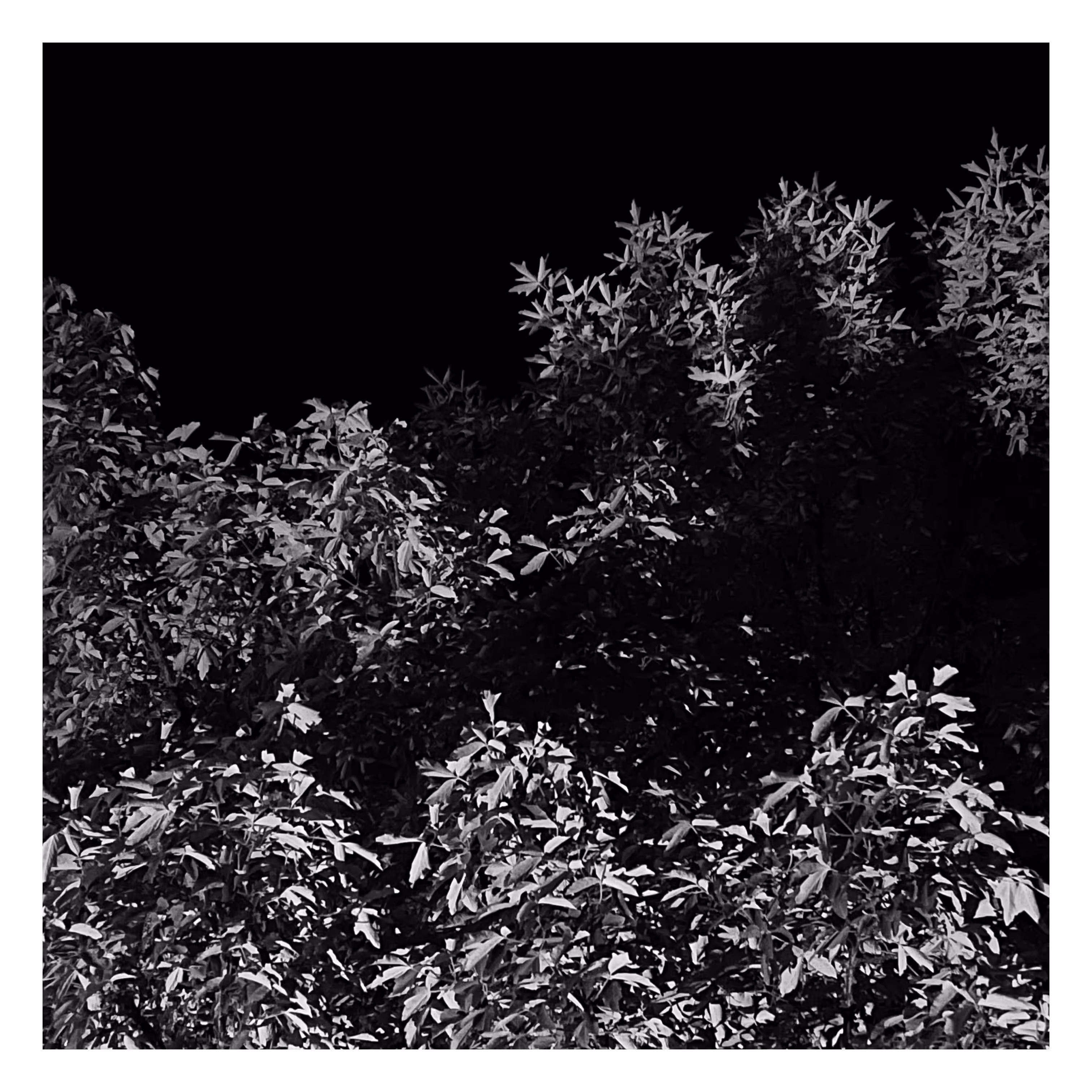 Stroll: July 18, 2023 • 1:14am