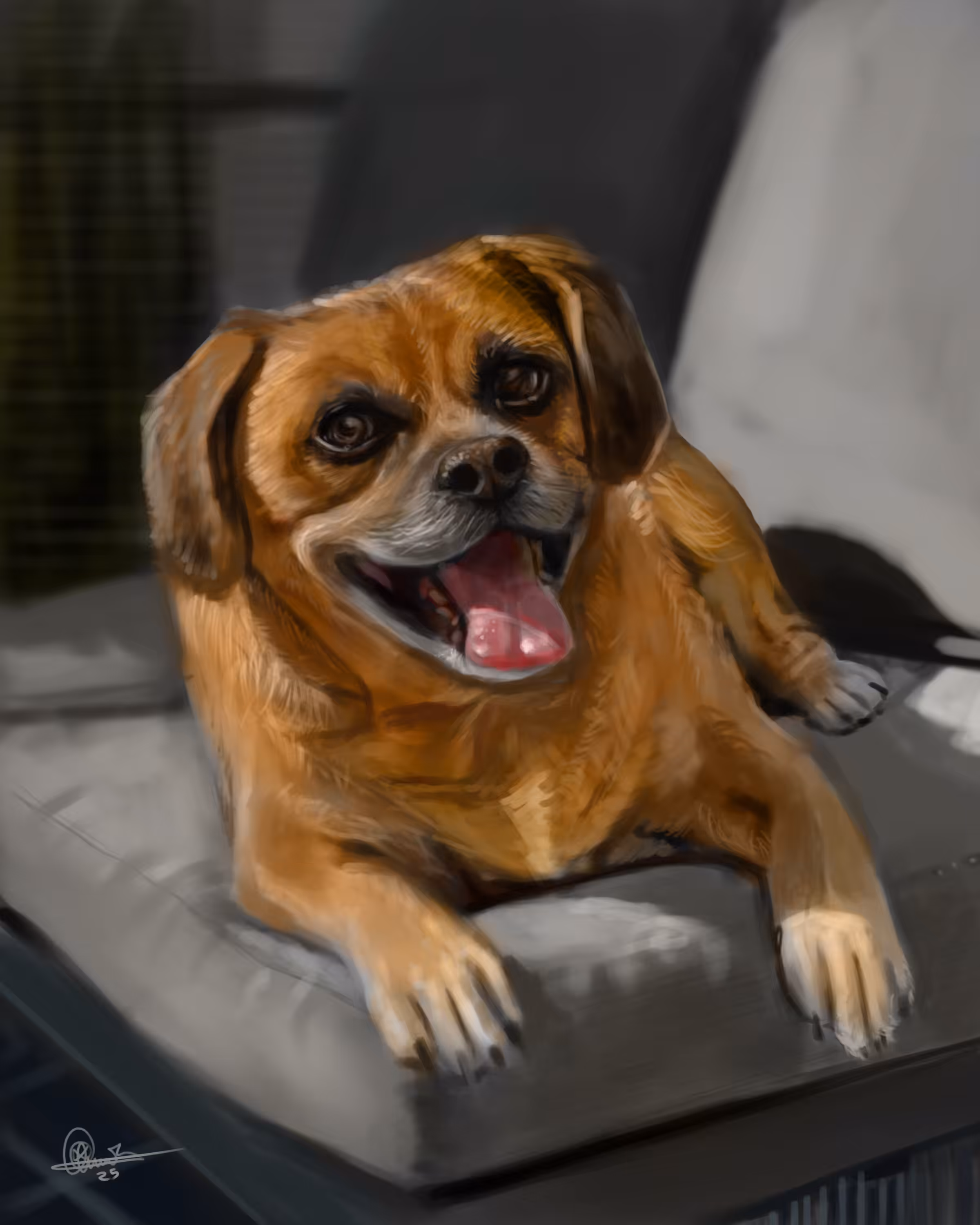 PORTRAIT OF SCOOTER