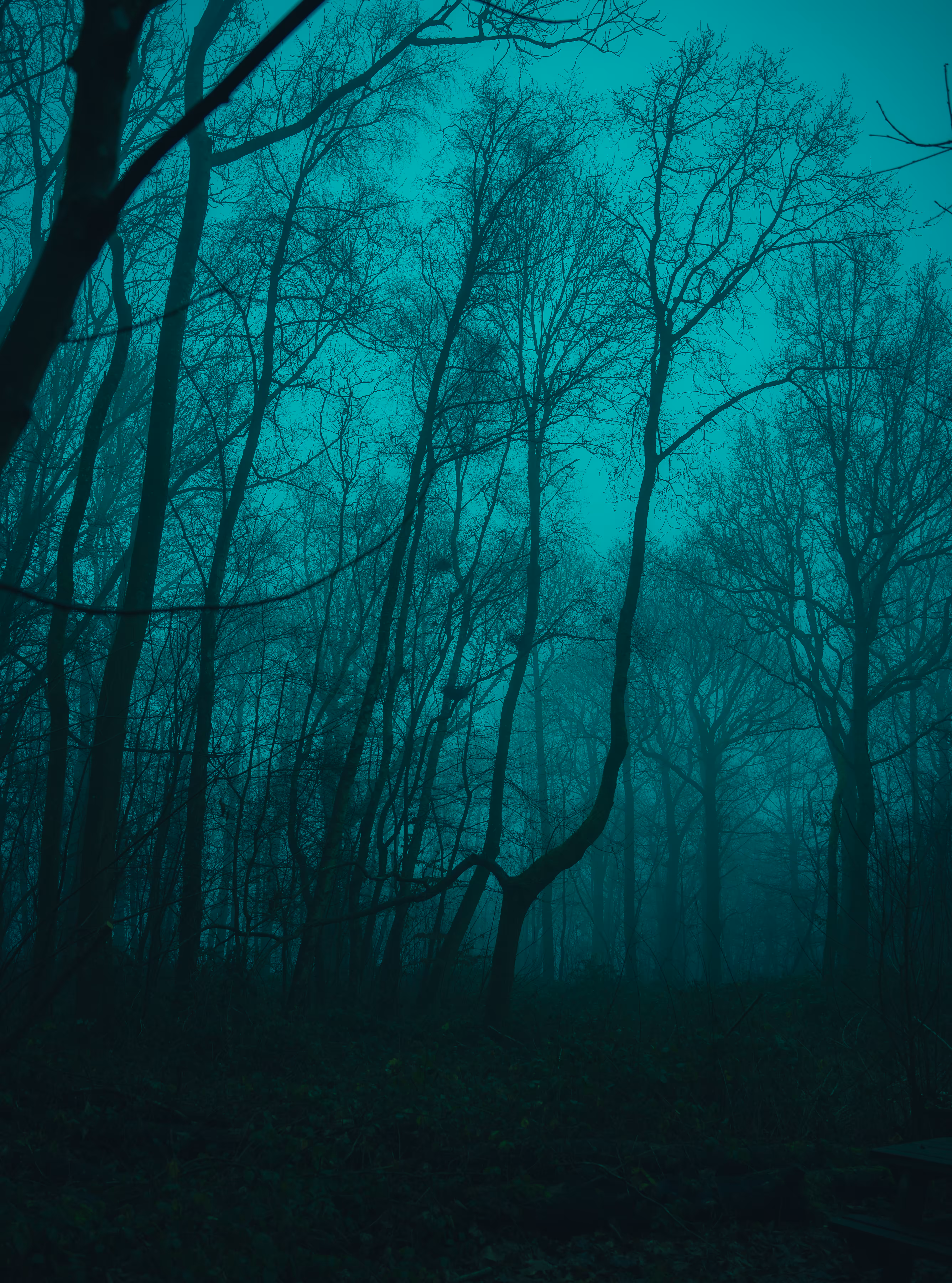 Darkness