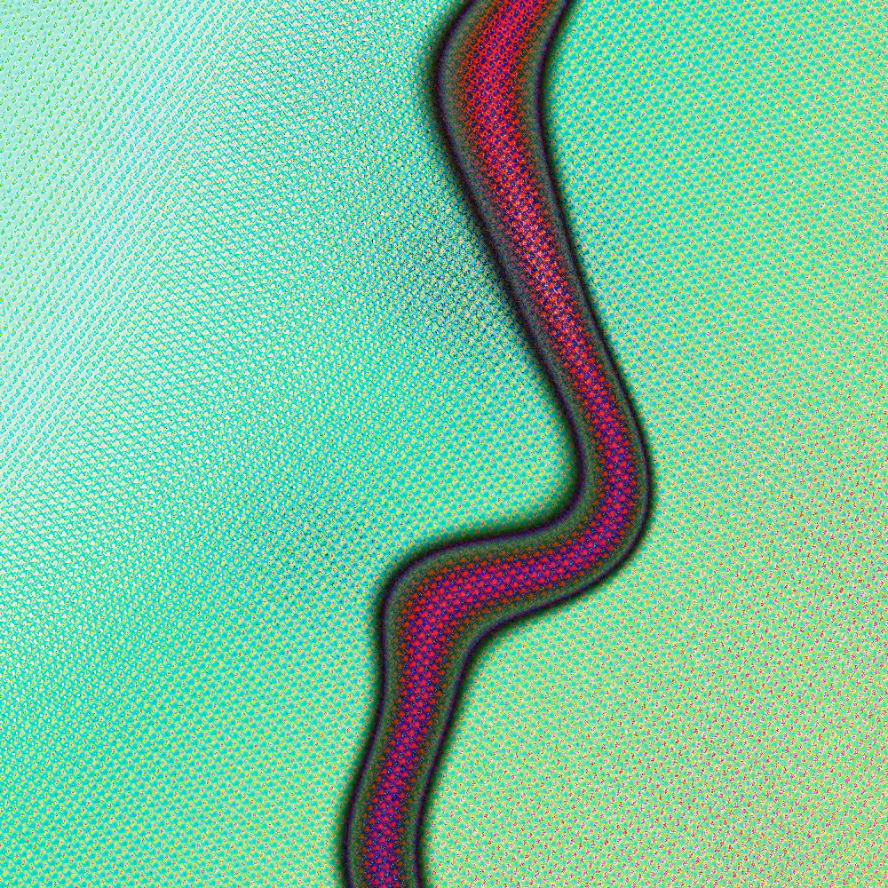 The Imaginary River Of Thoughts #5