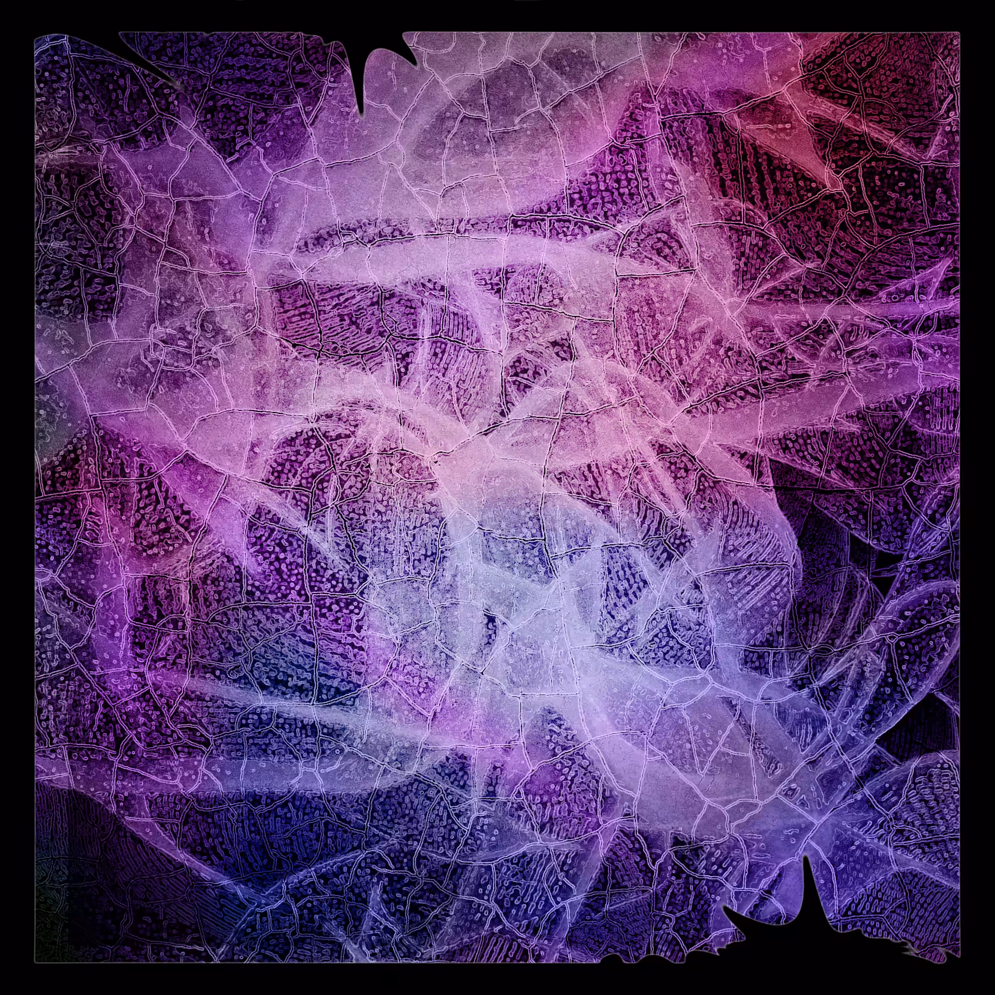 Cell 66