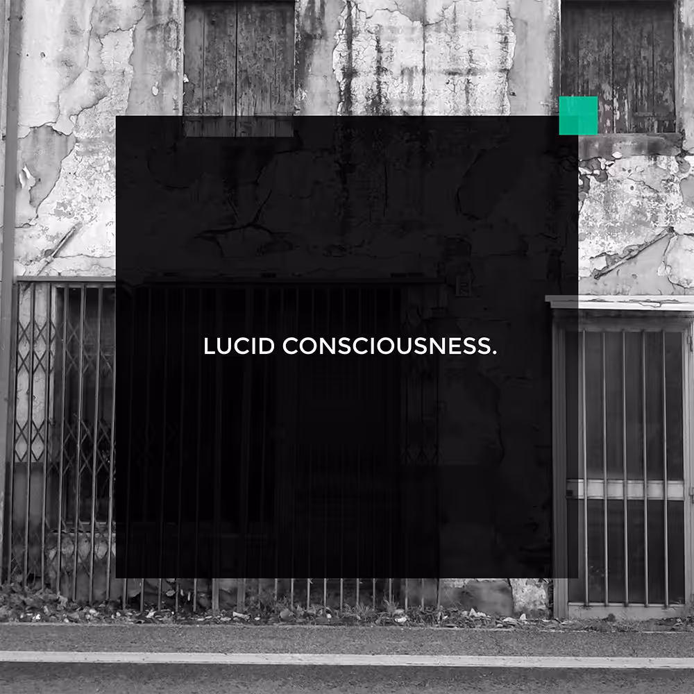 LUCID CONSCIOUSNESS