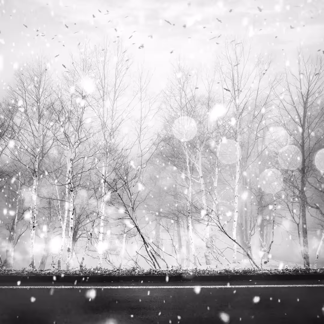 Quiet of Nature - 02