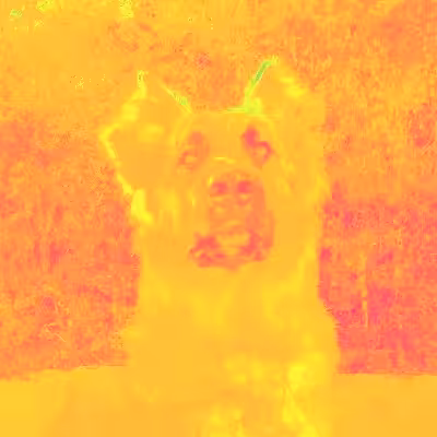 Good Boy