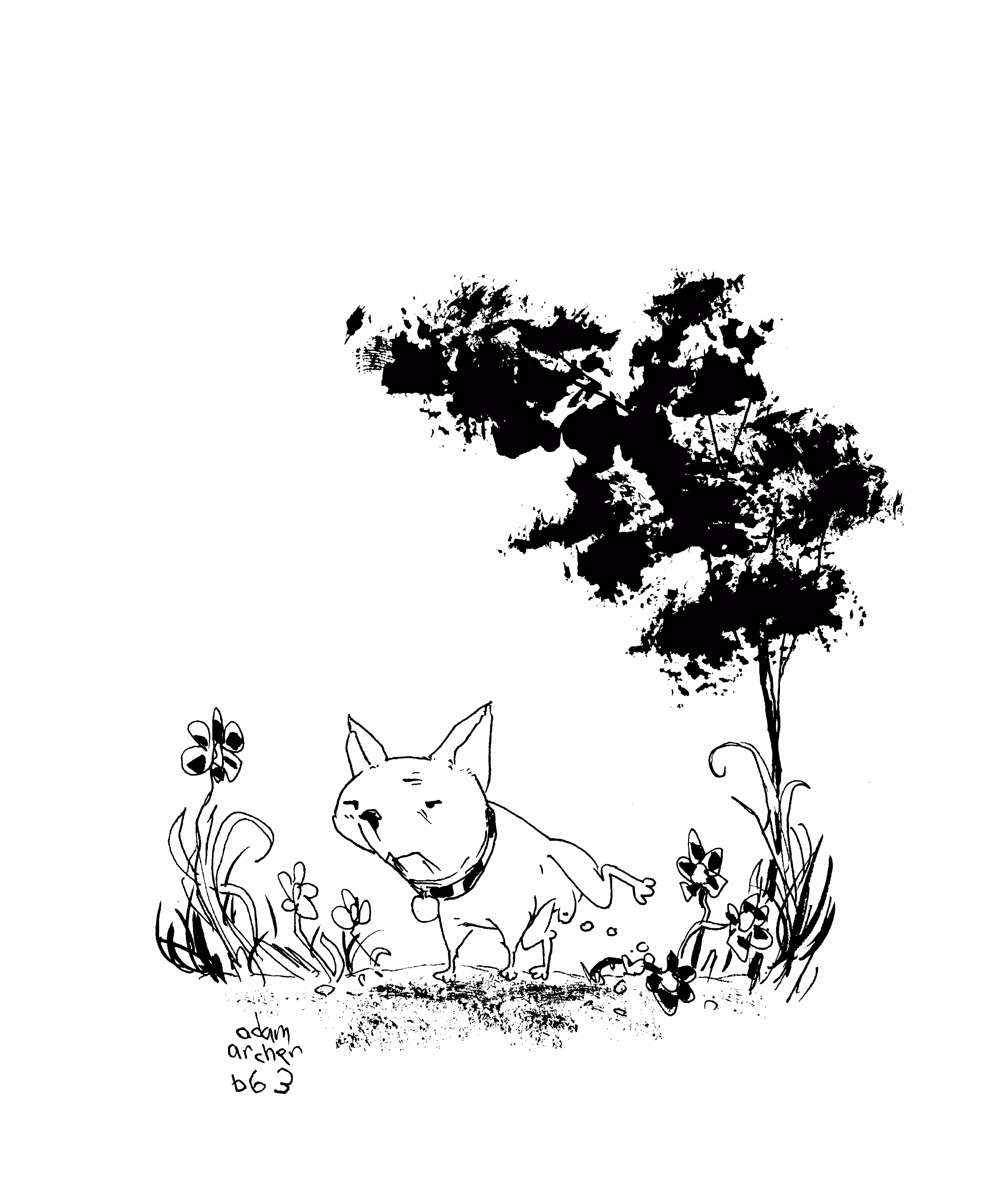 adam archer's doodles: black series 063