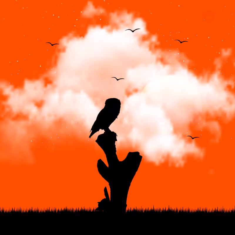 We Care...Owl #7