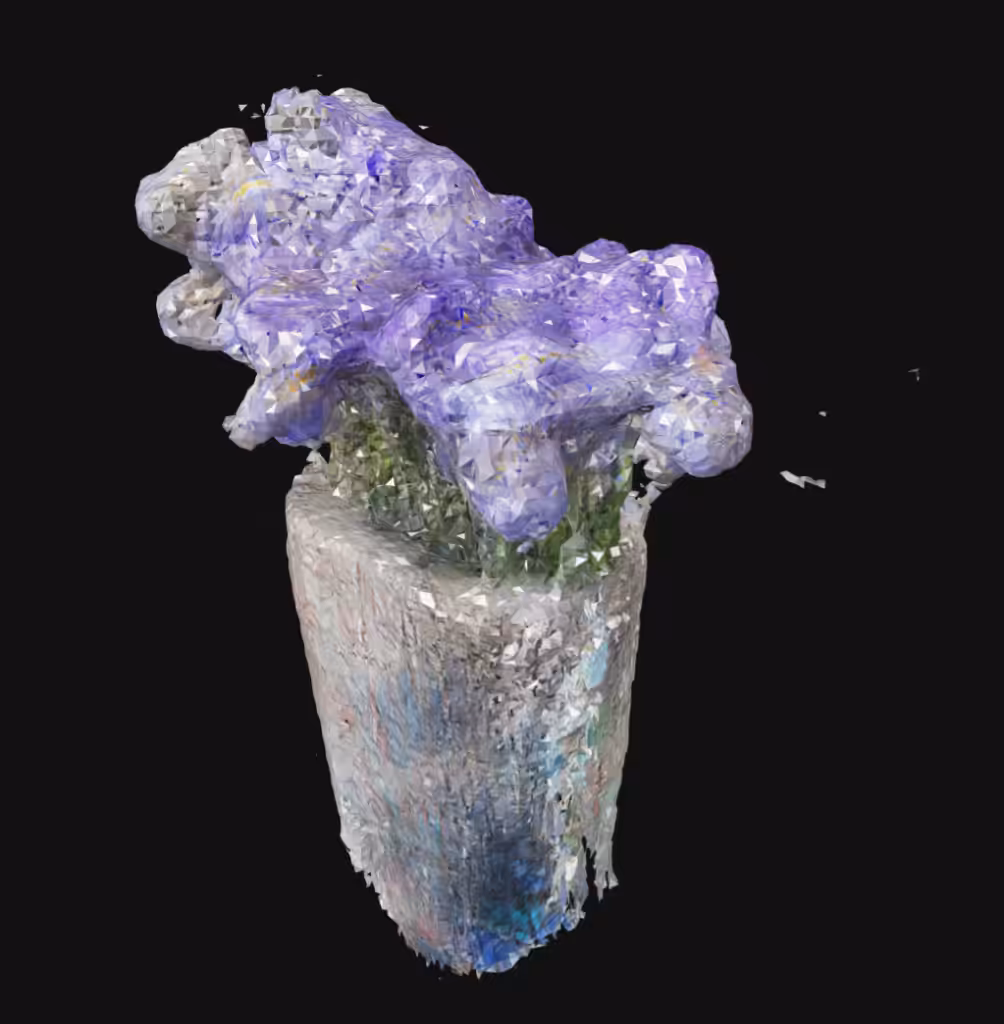 Iris LiDAR