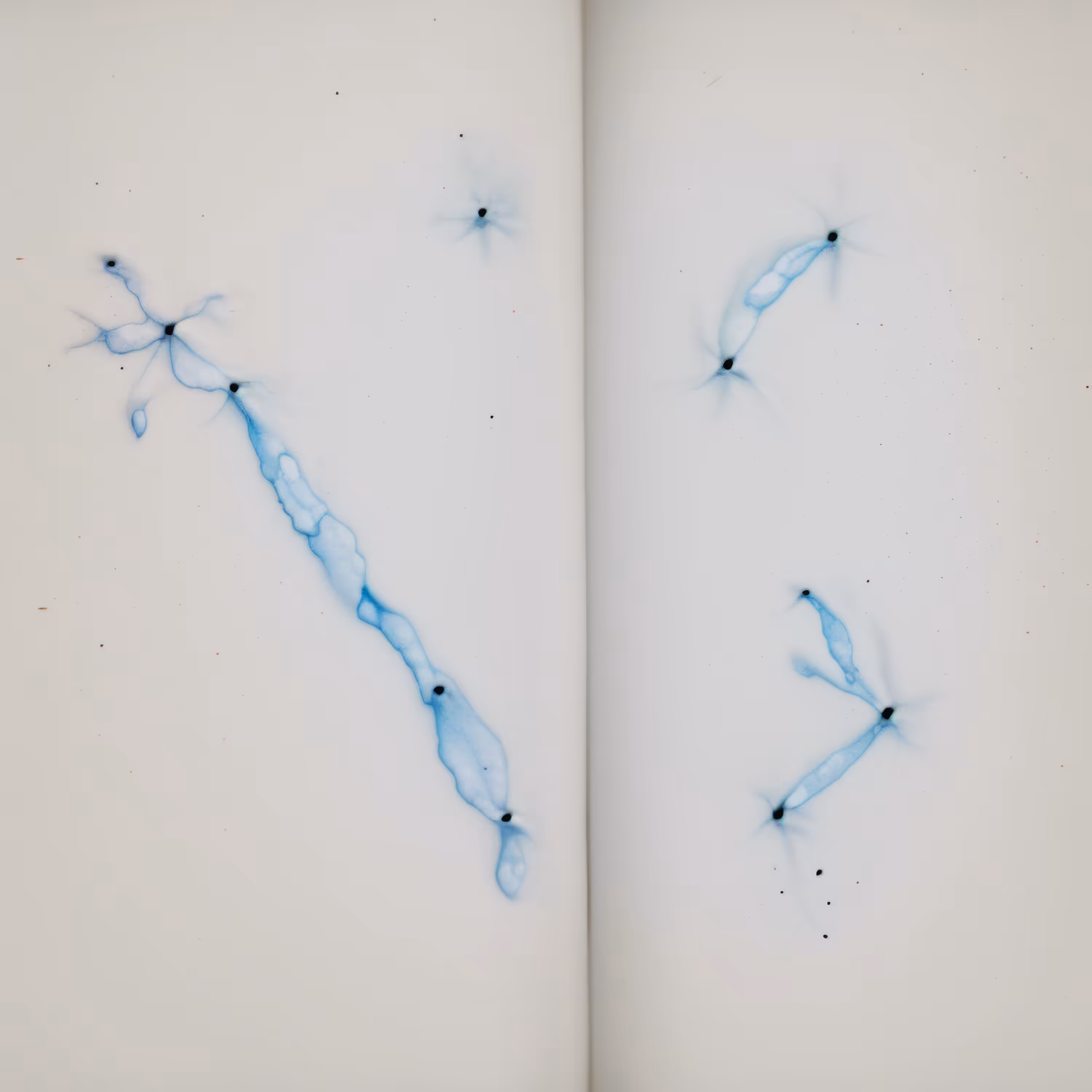 Memory Object 14042025 (Memory Diary: The First 30 Days)