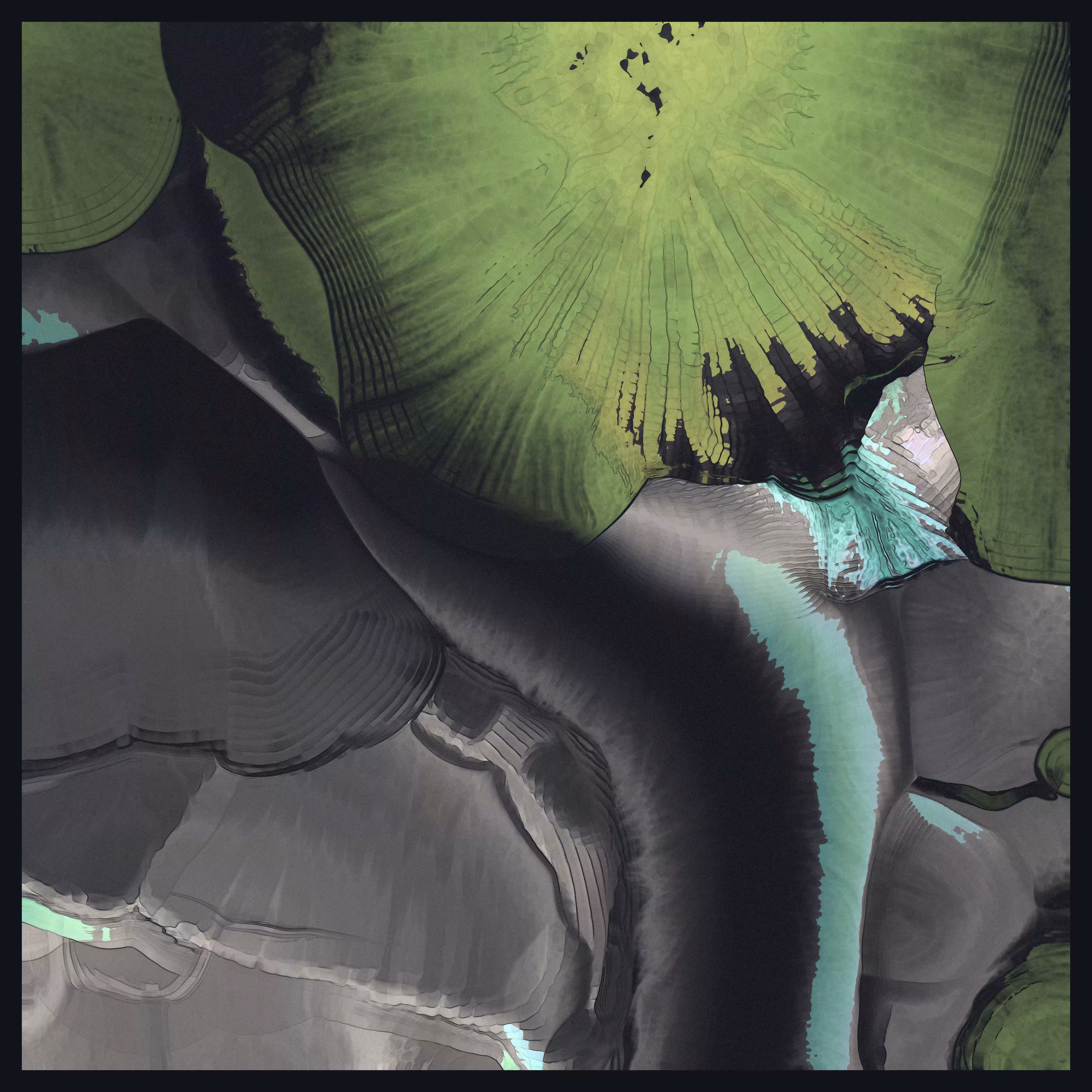 Bloom_05