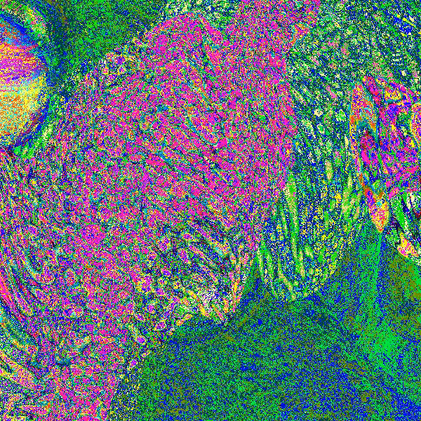 Einstein-Rosen Memories #17