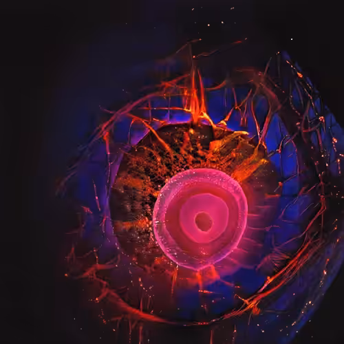 Lifeform