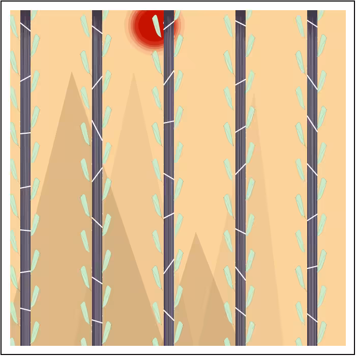 Bamboo in Wind #12