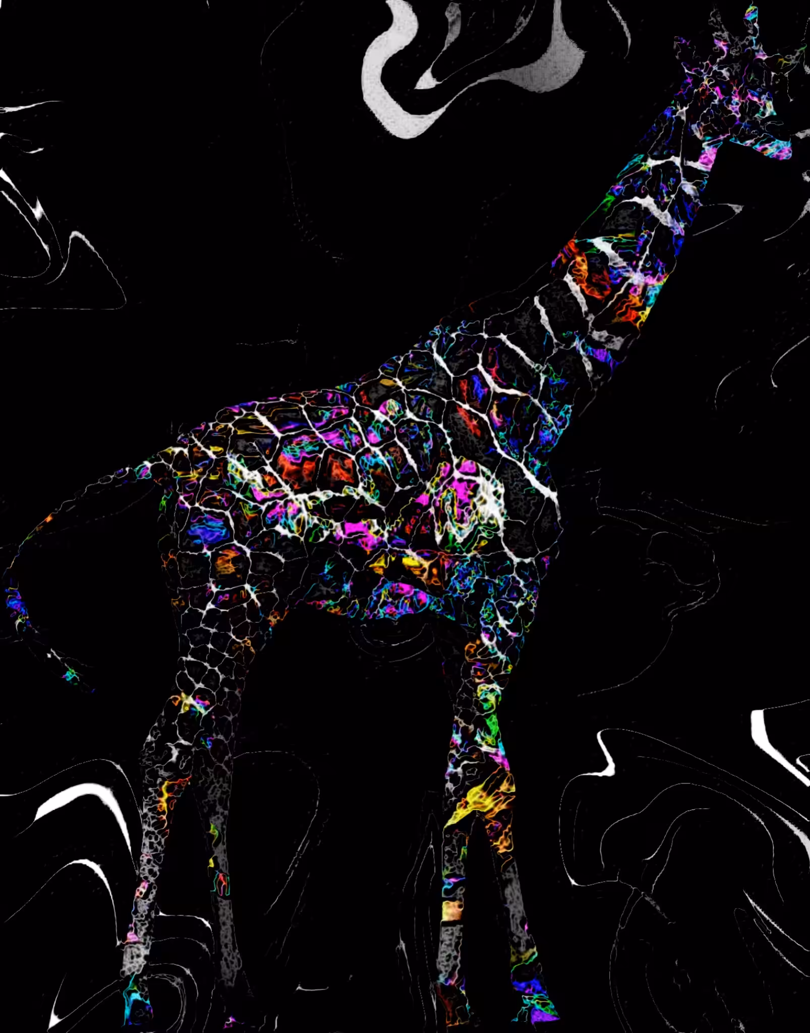 Colo Organism
