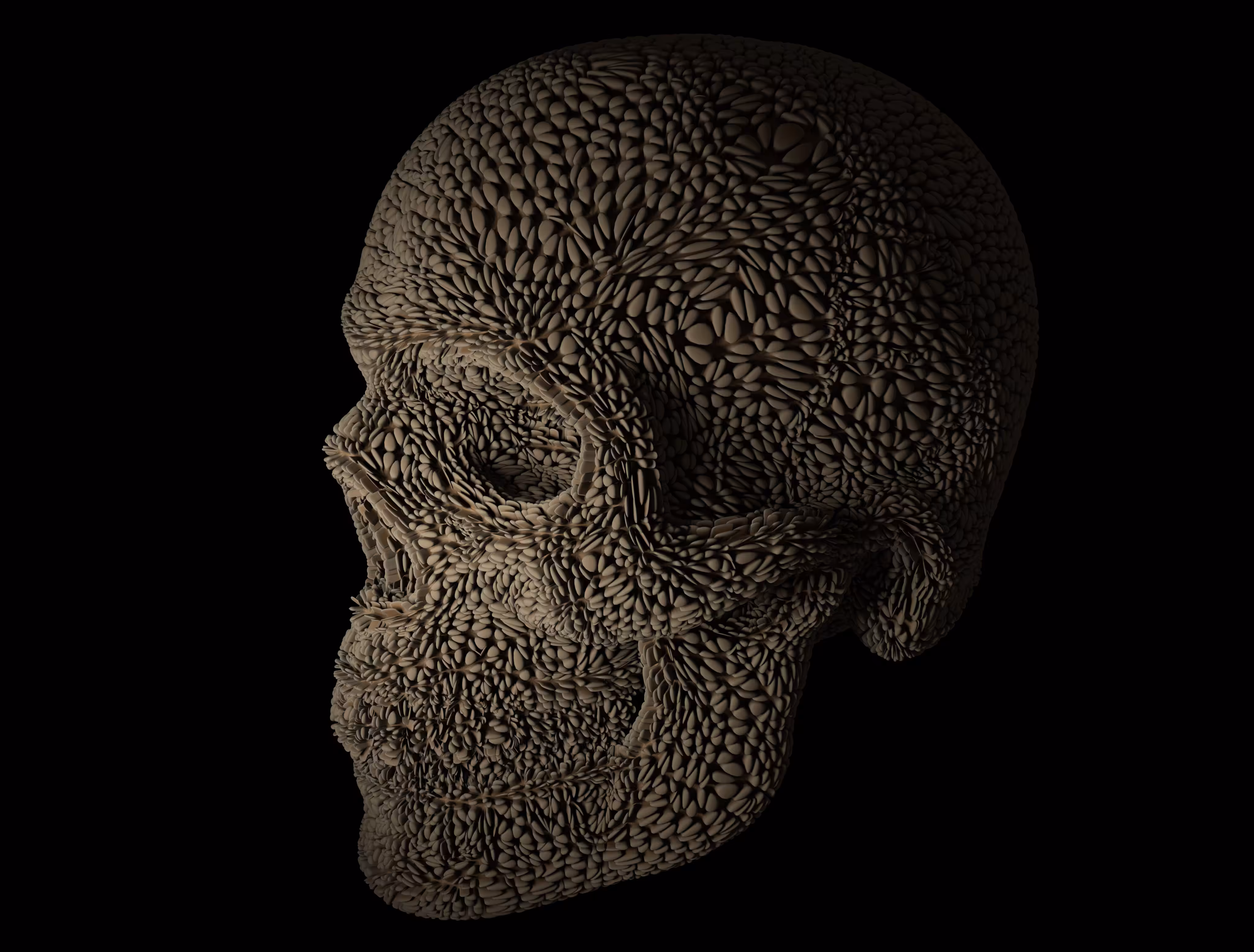 Protruding Skull