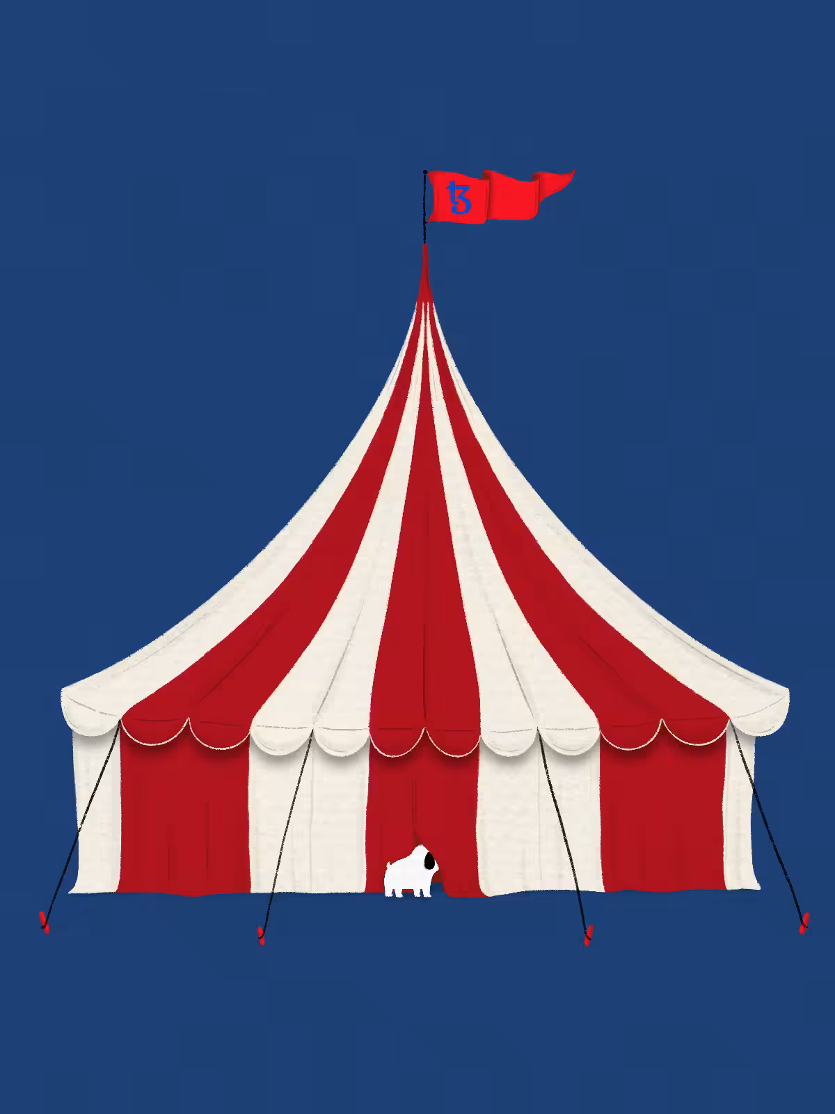 Jimmy's Big Top Curiosity