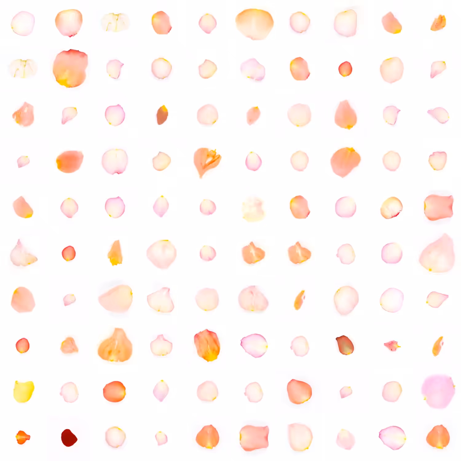 Infinite Petals 10x10#10097