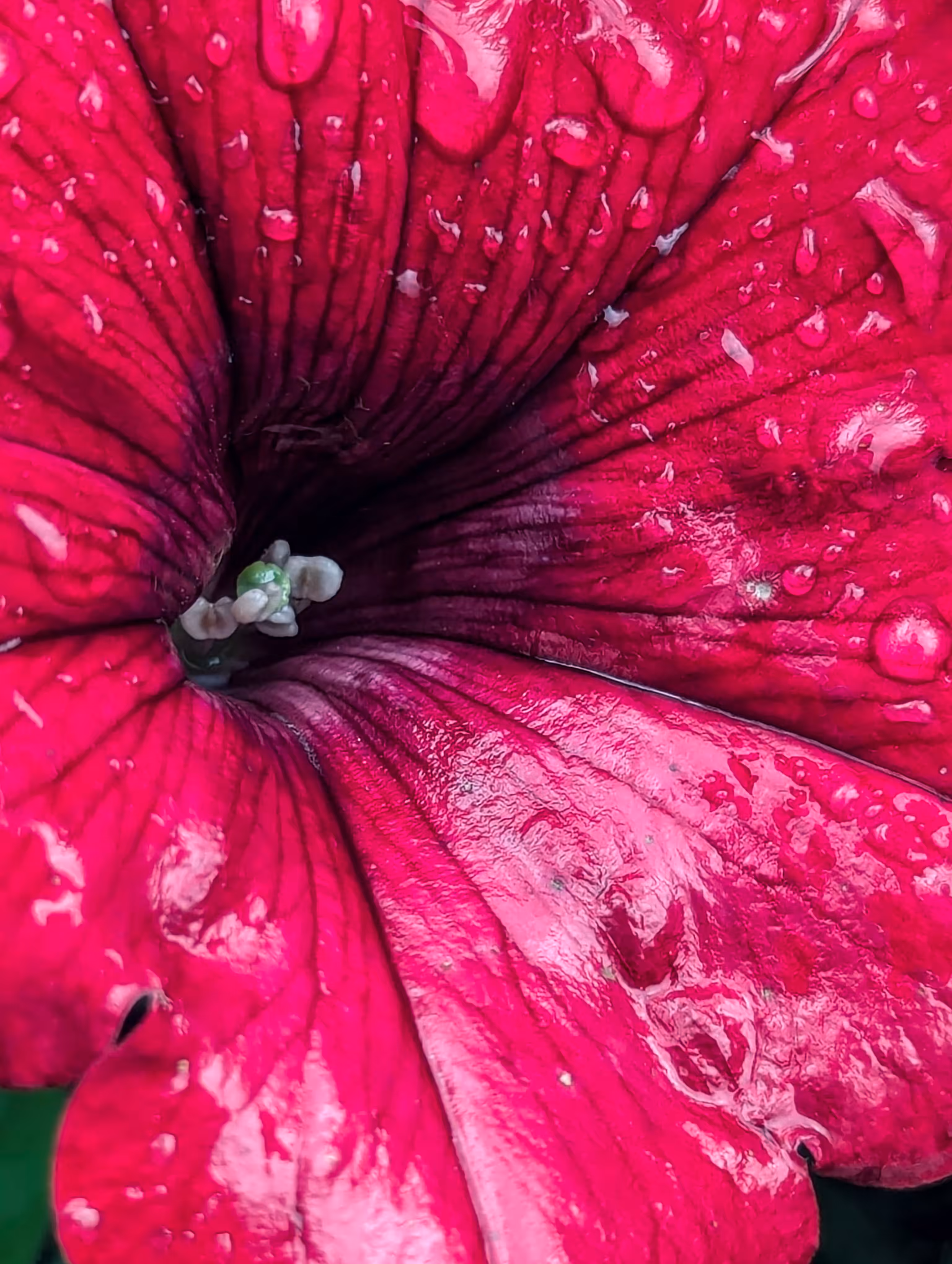 Luke_0x1 Photography : Morning shower