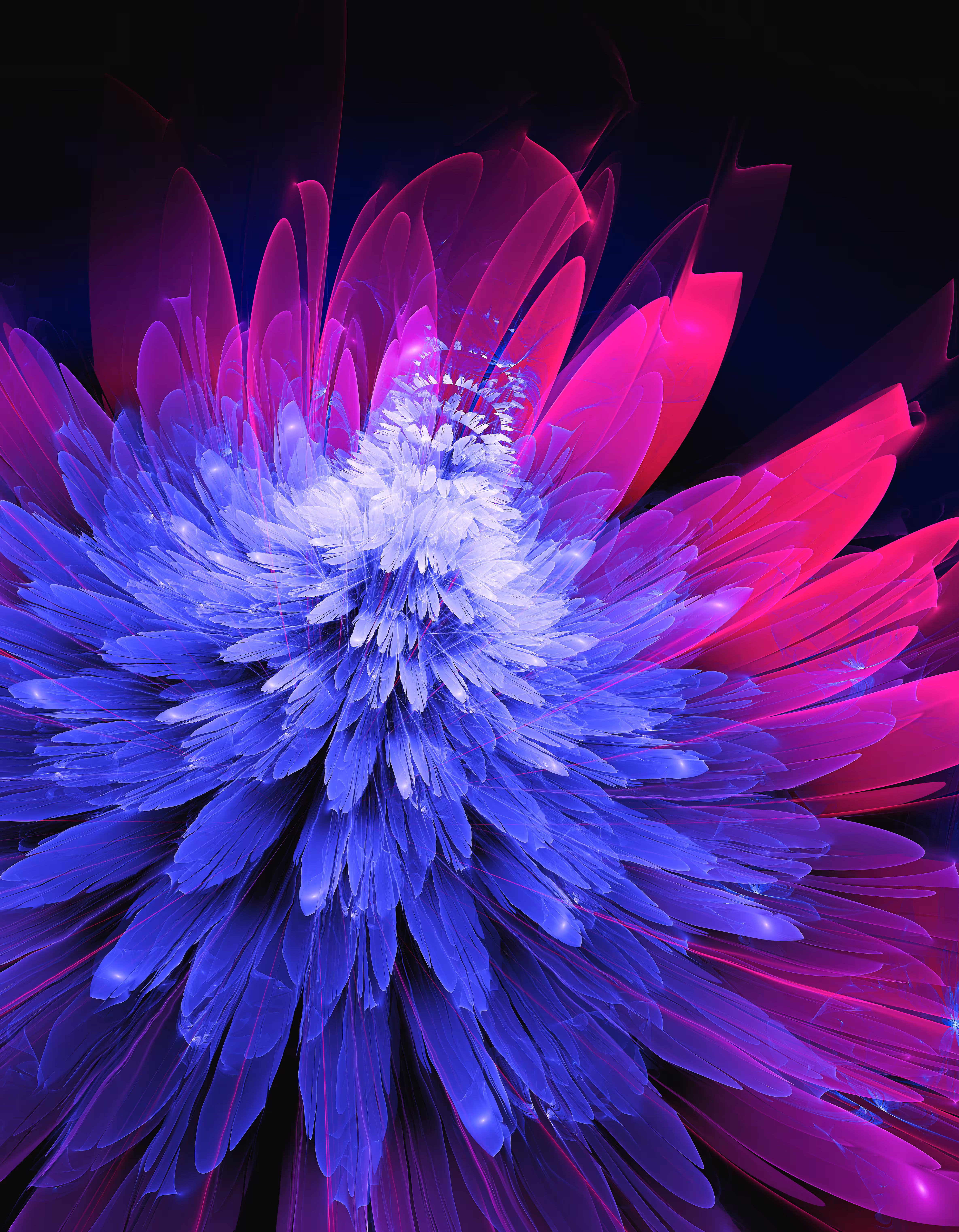 Water Lily (4 of 4)