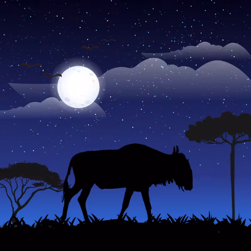 We Care...Wildebeest #4