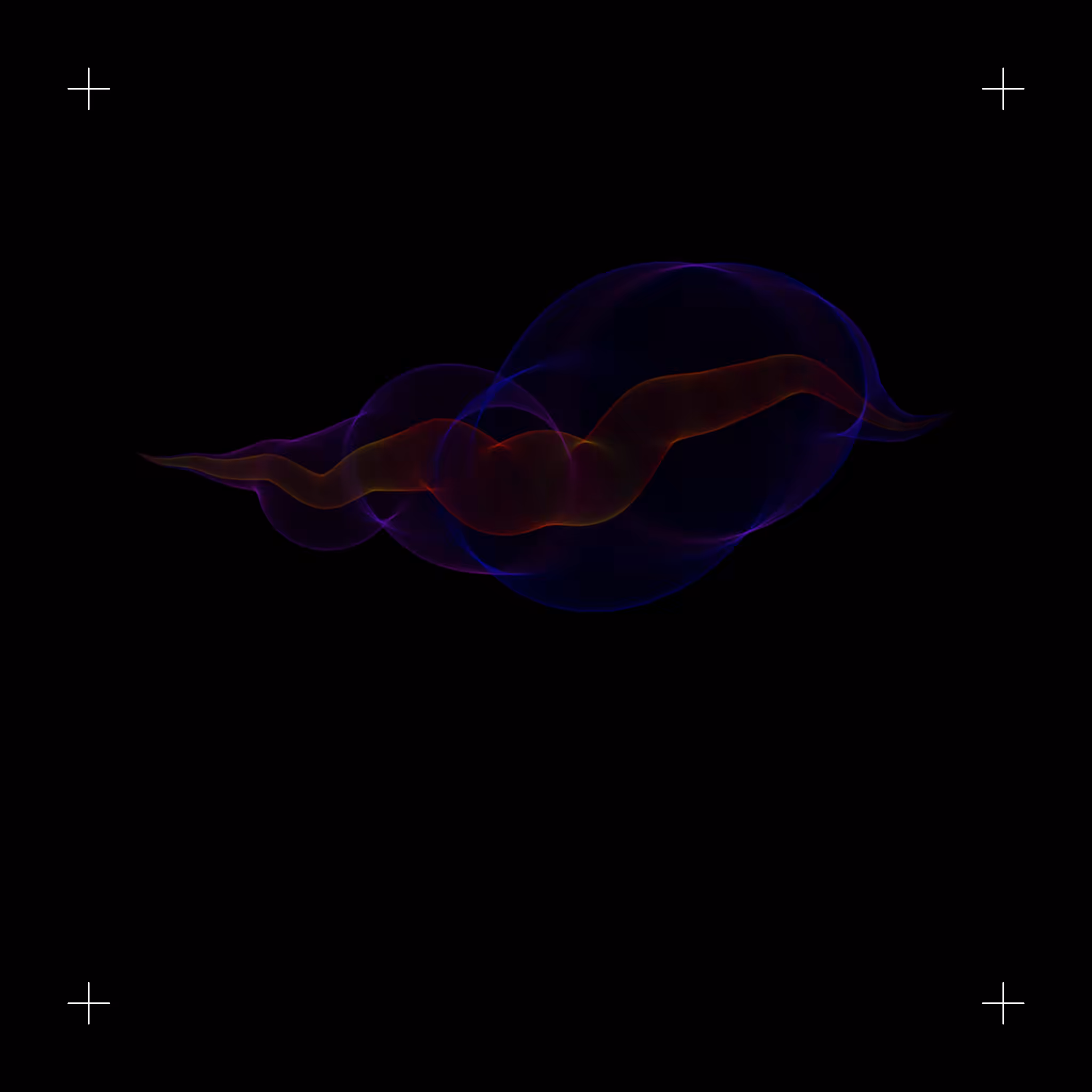 C#l2#D #5