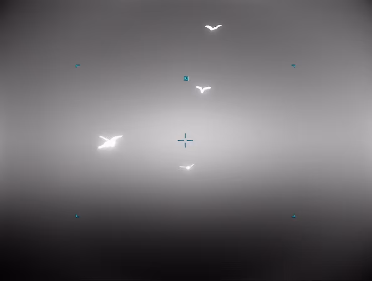 Unidentified Anomalous Phenomena: UAP_0333
