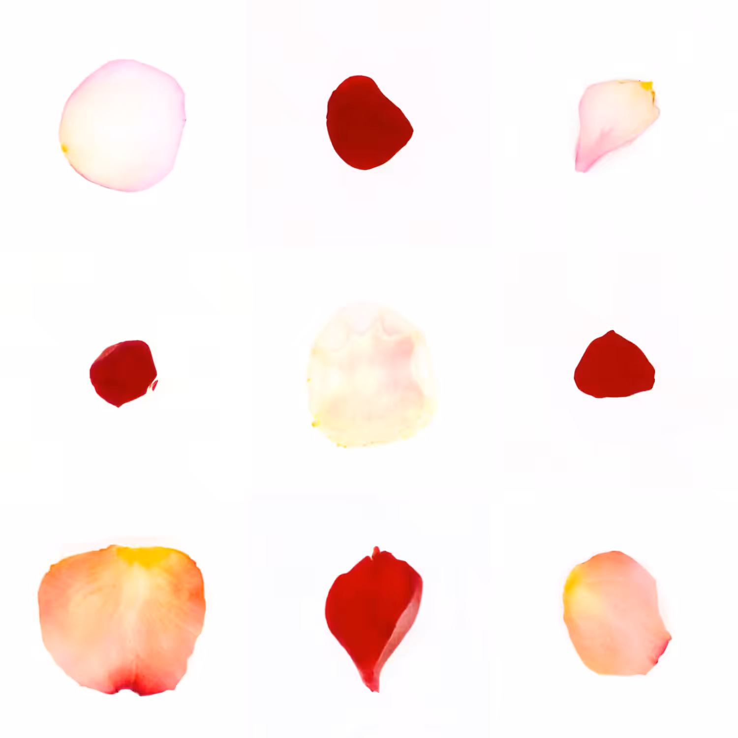Infinite Petals 3x3#3651