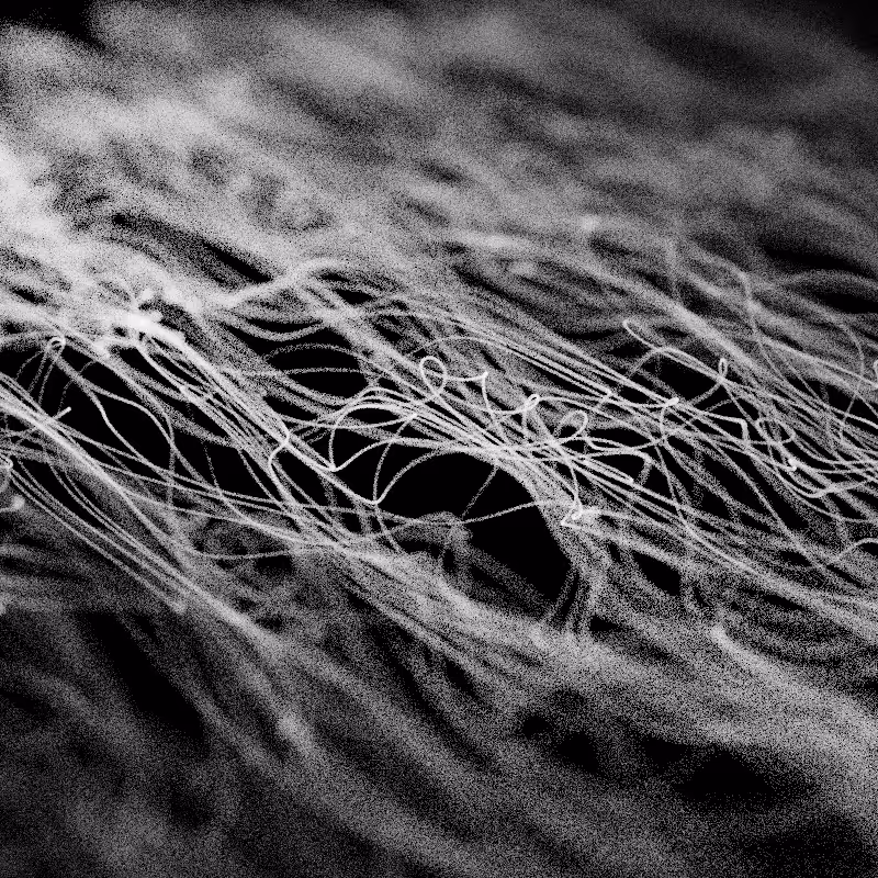 Smoke trails #37