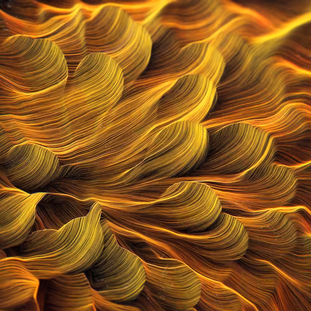 yellow macro #4