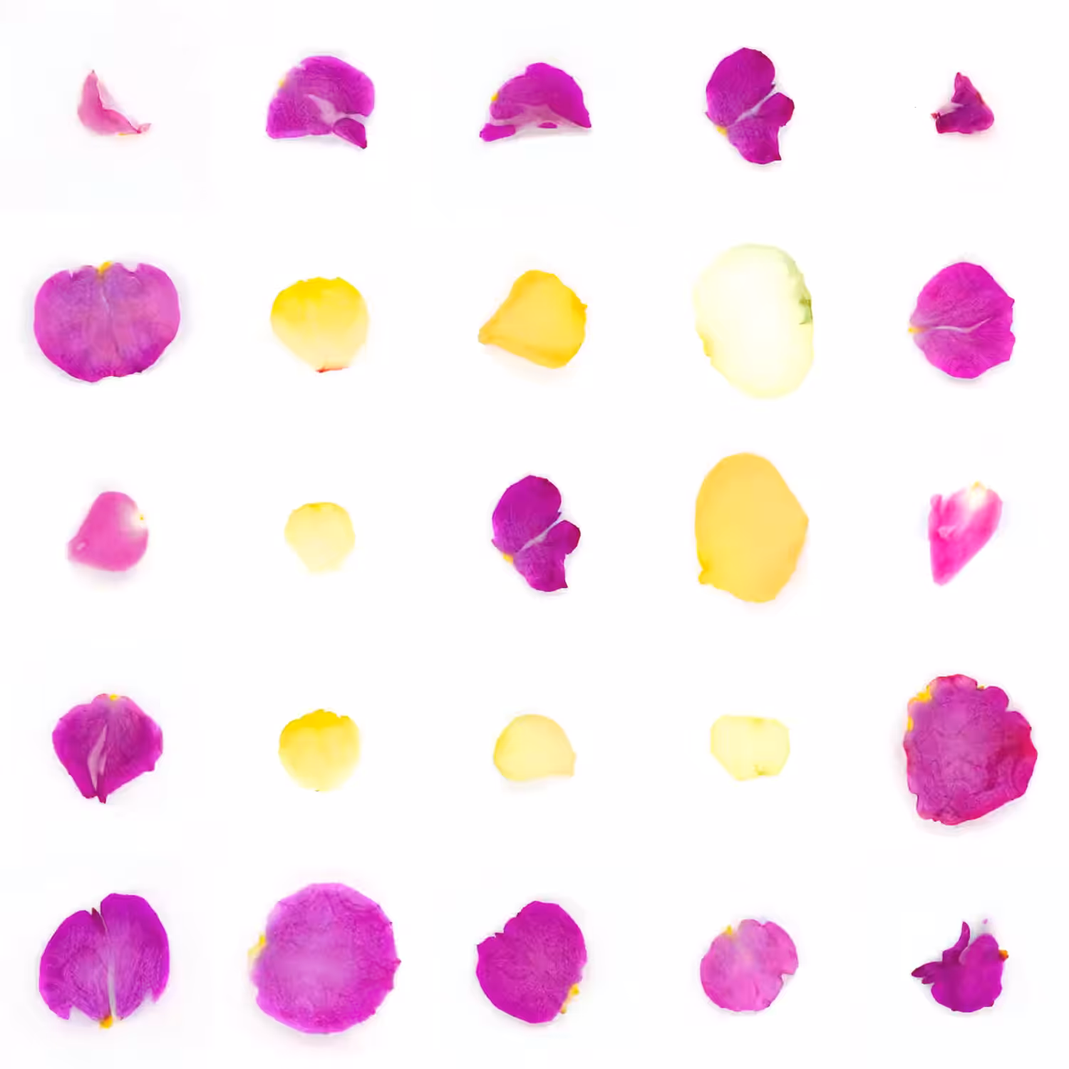 Infinite Petals 5x5#20998