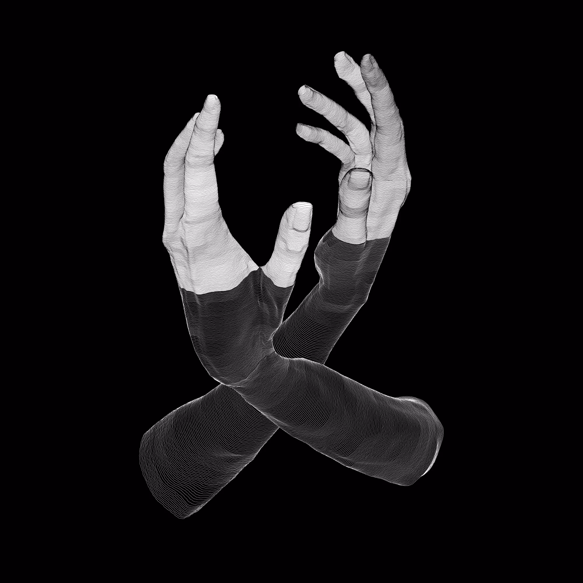 AnAtomy Base 03