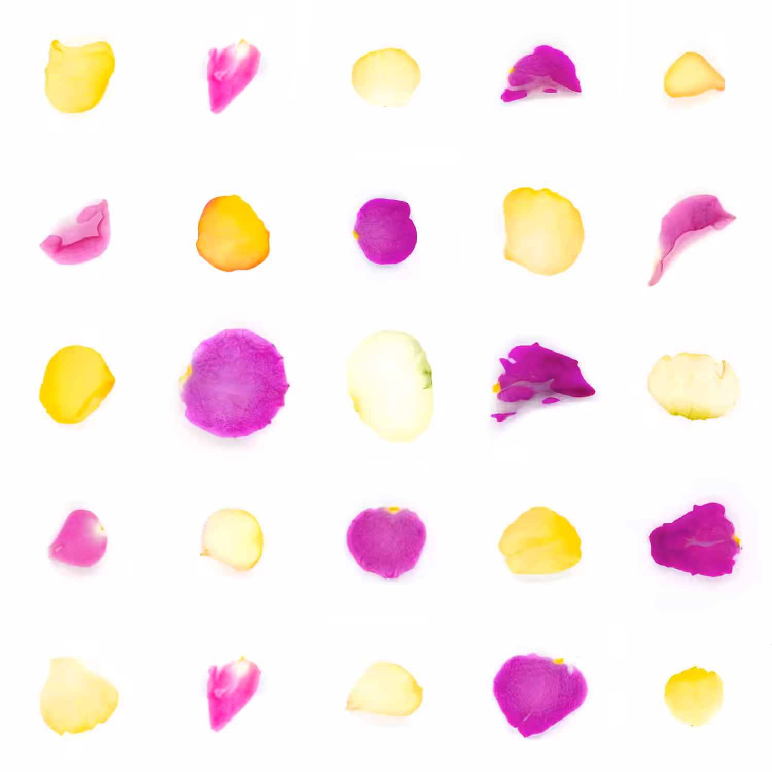 Infinite Petals 5x5#20774