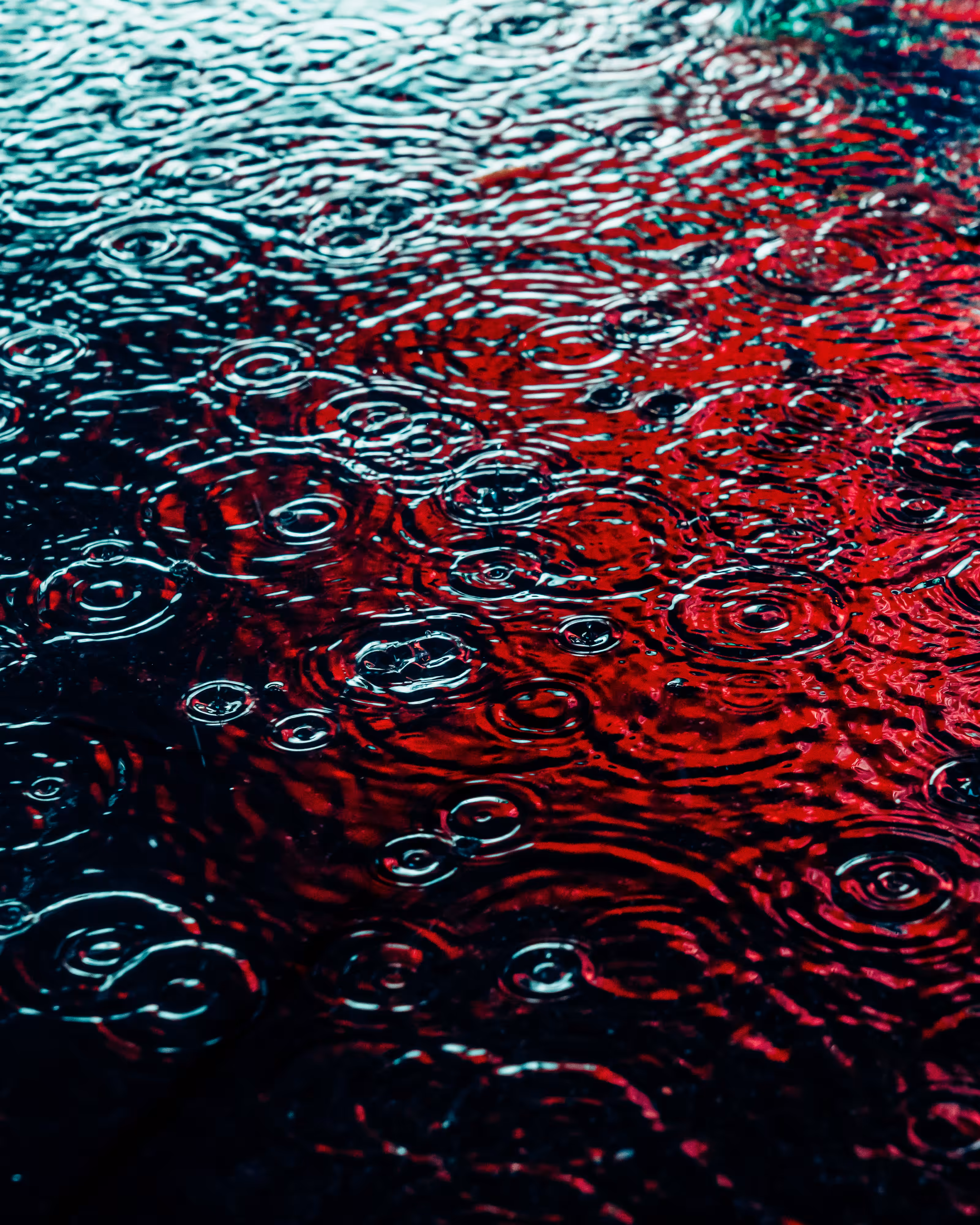 DRIP #406