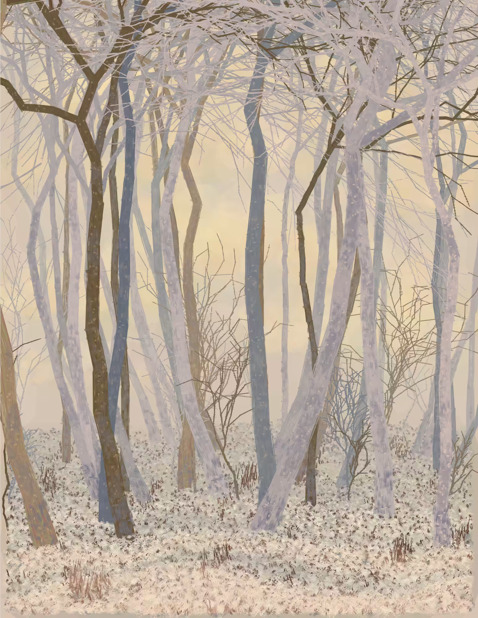 Deep Forest #78