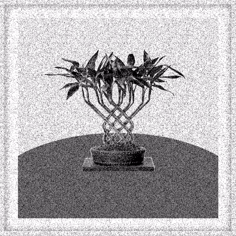 Bonsai Bonanza #25