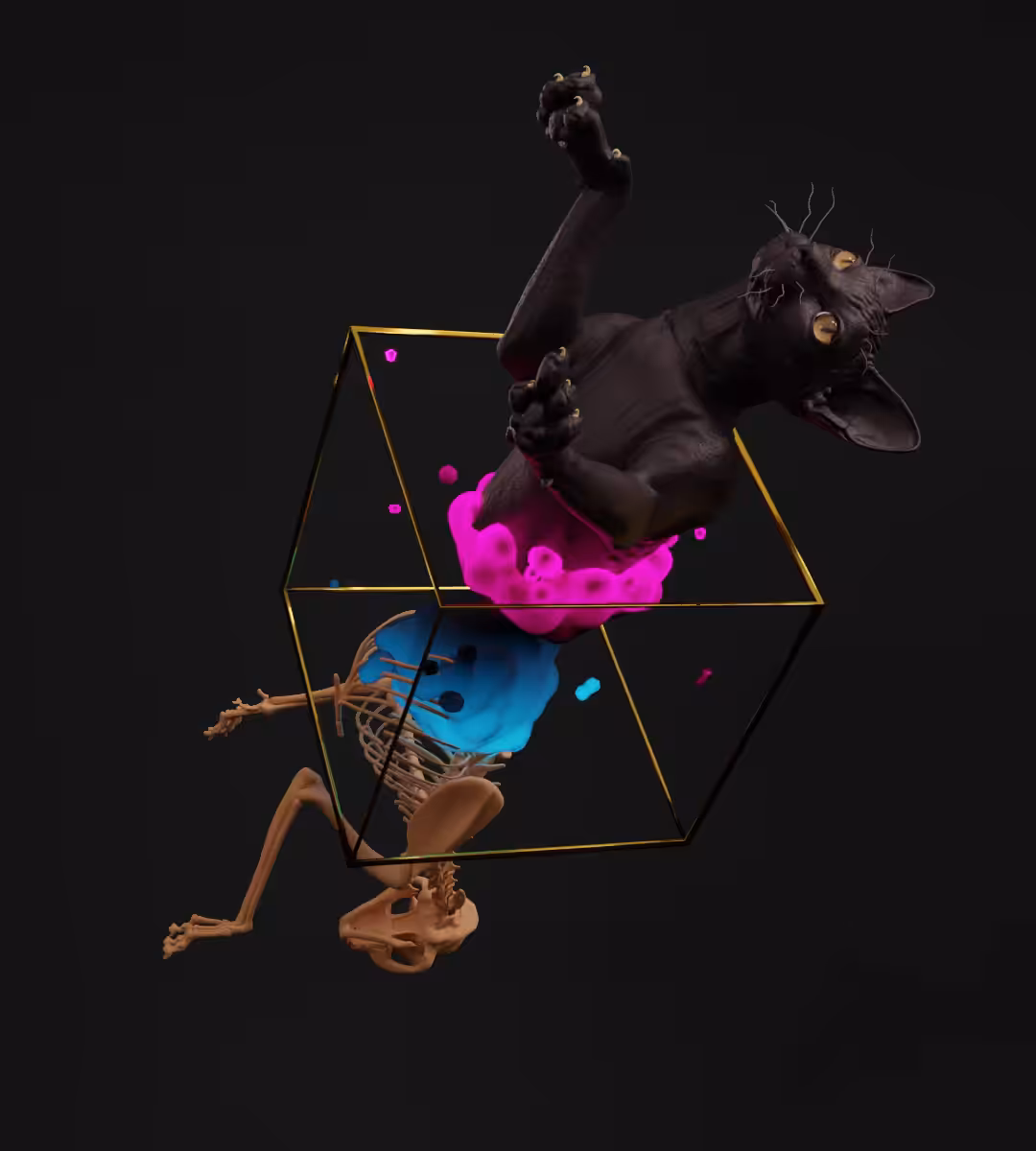 Superposition