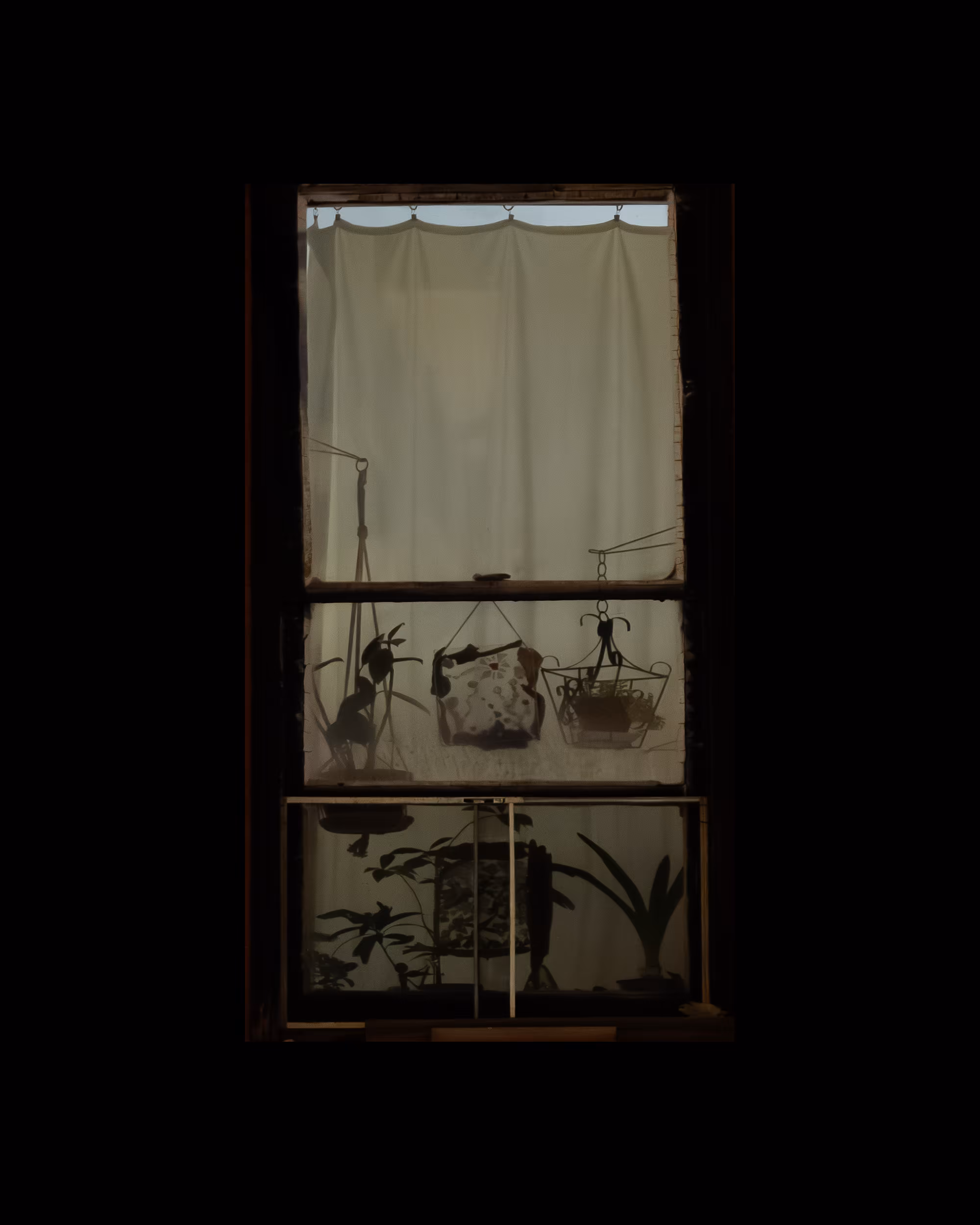 WINDOWS // NYC: WINDOW 161