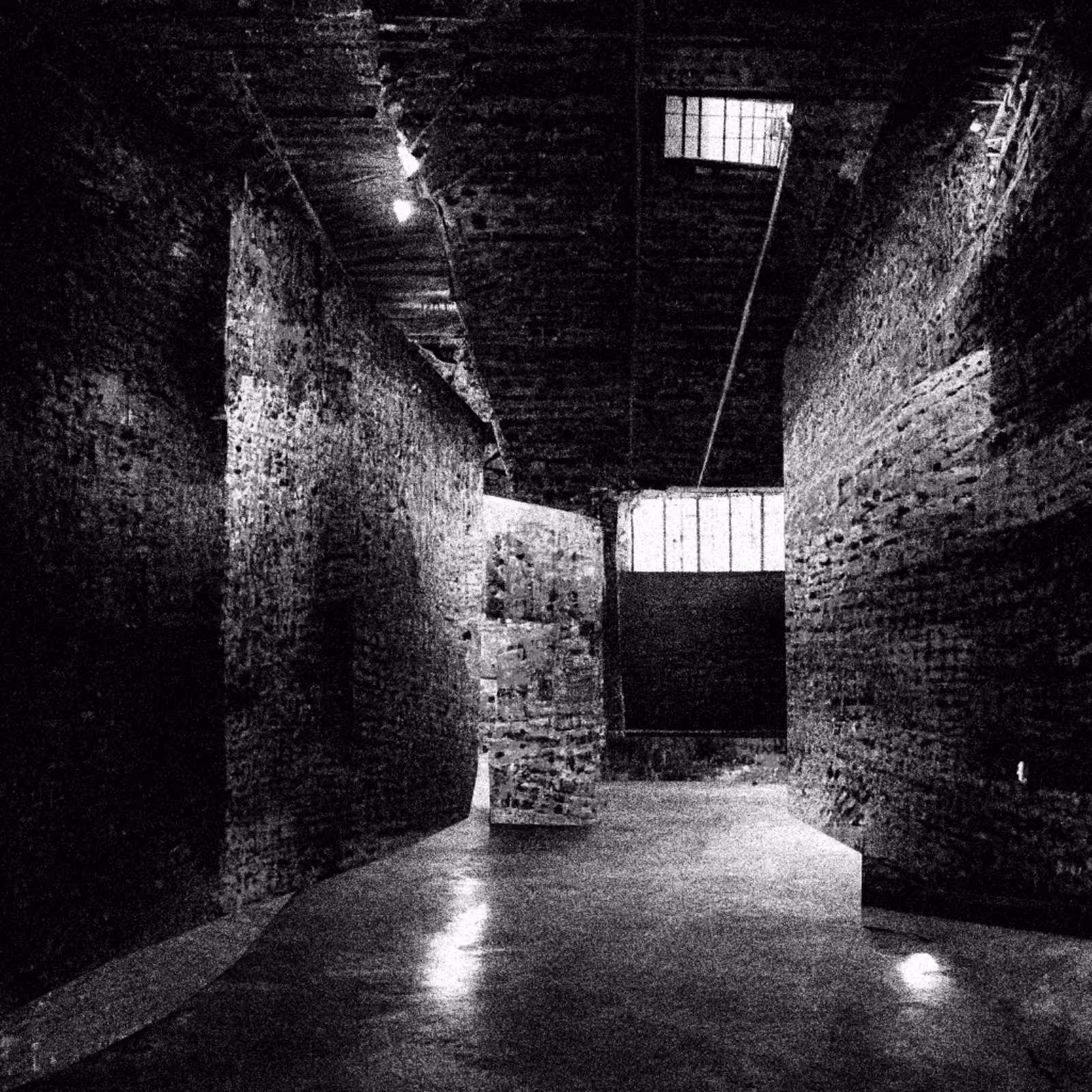 Liminal Newberry #49