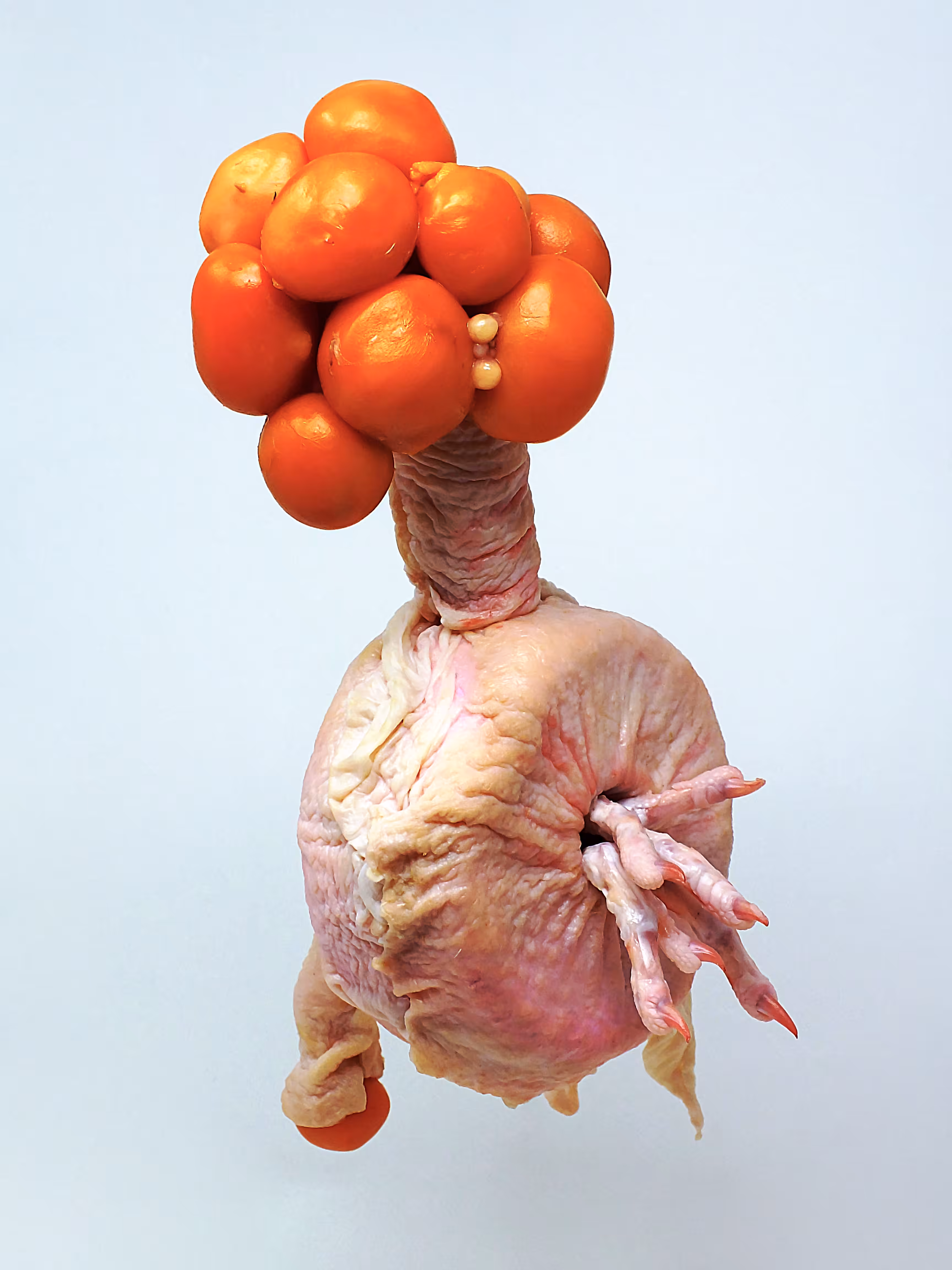 PLUMBUS