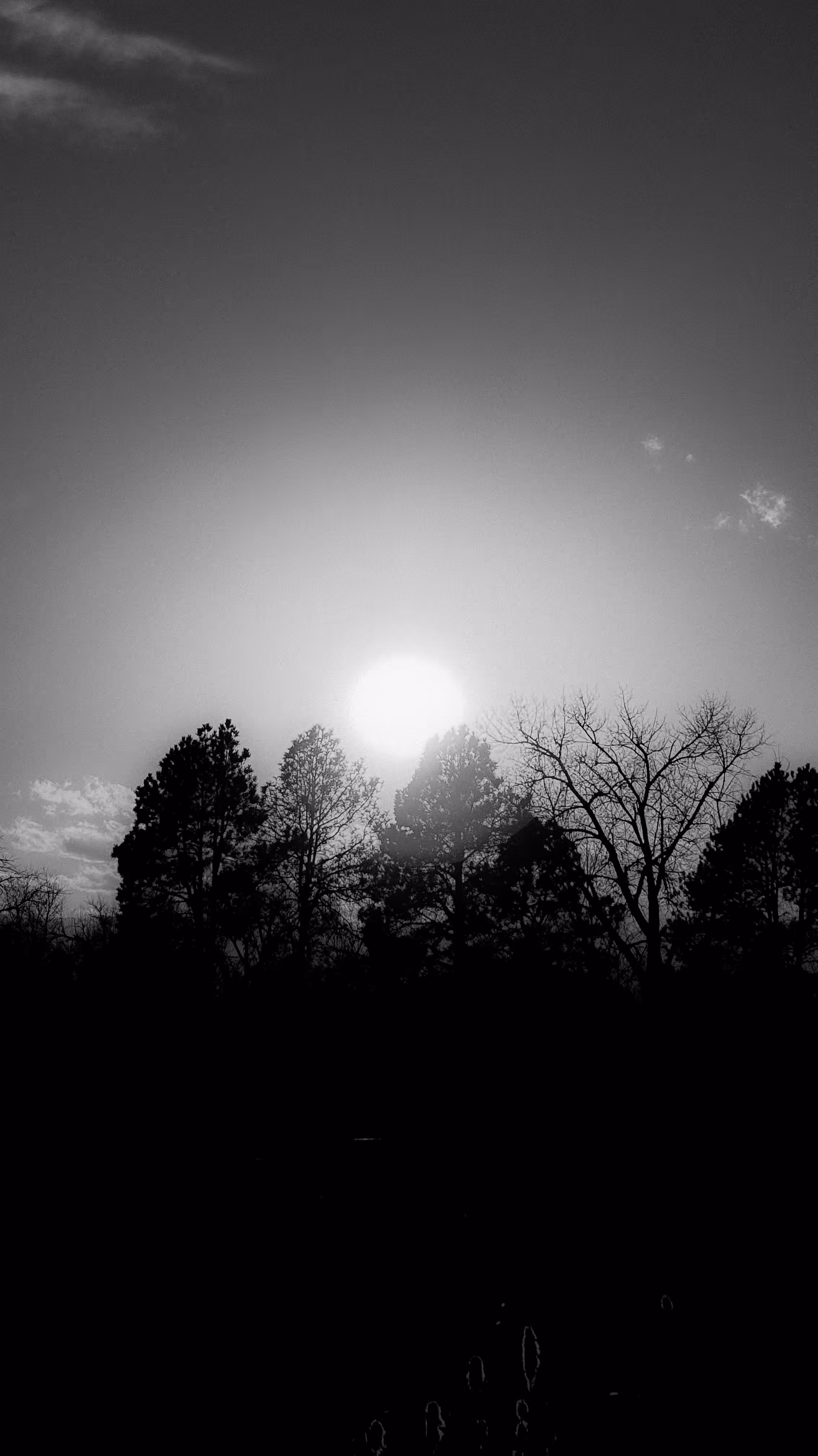 Scene 1: Monochrome: Solidarity