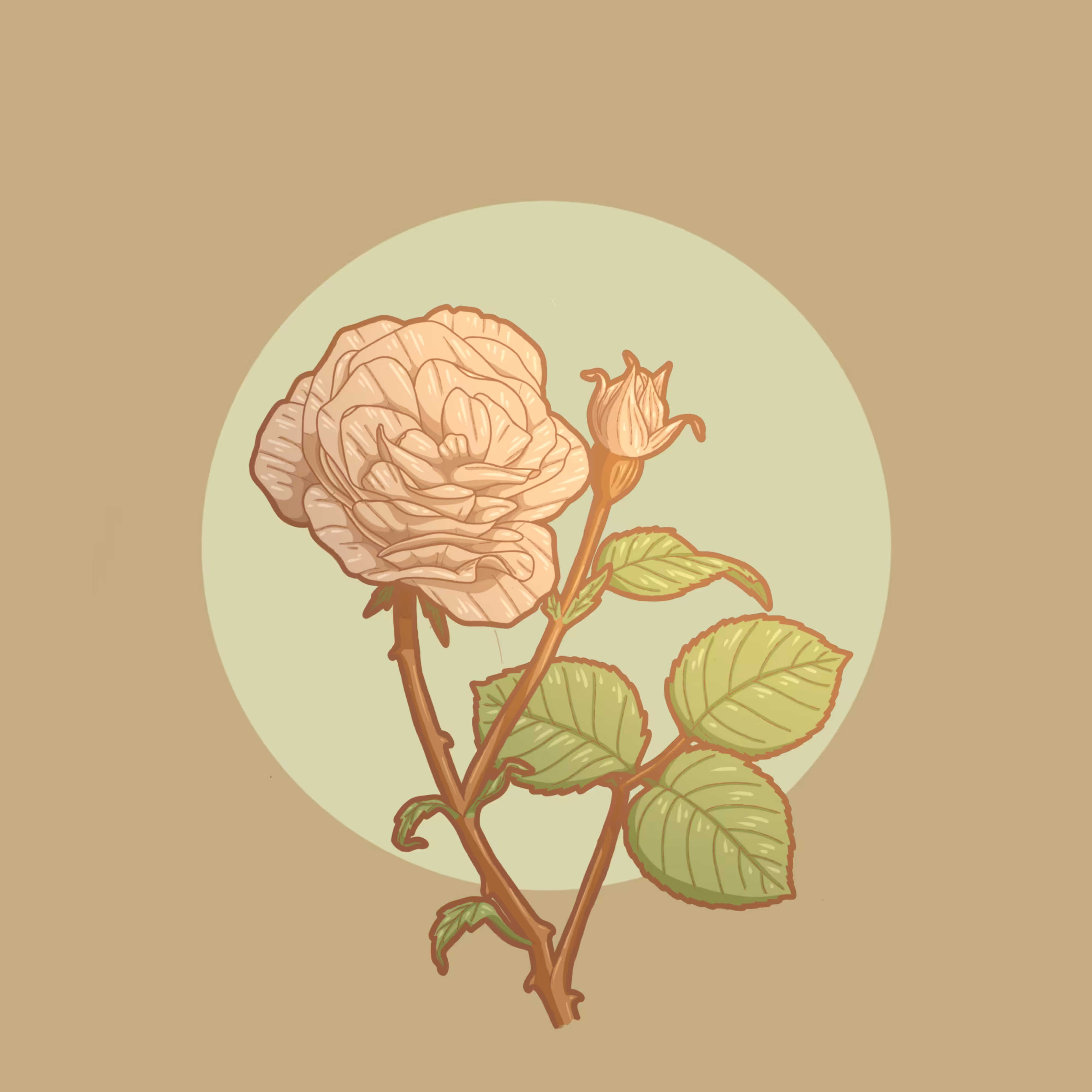Rose