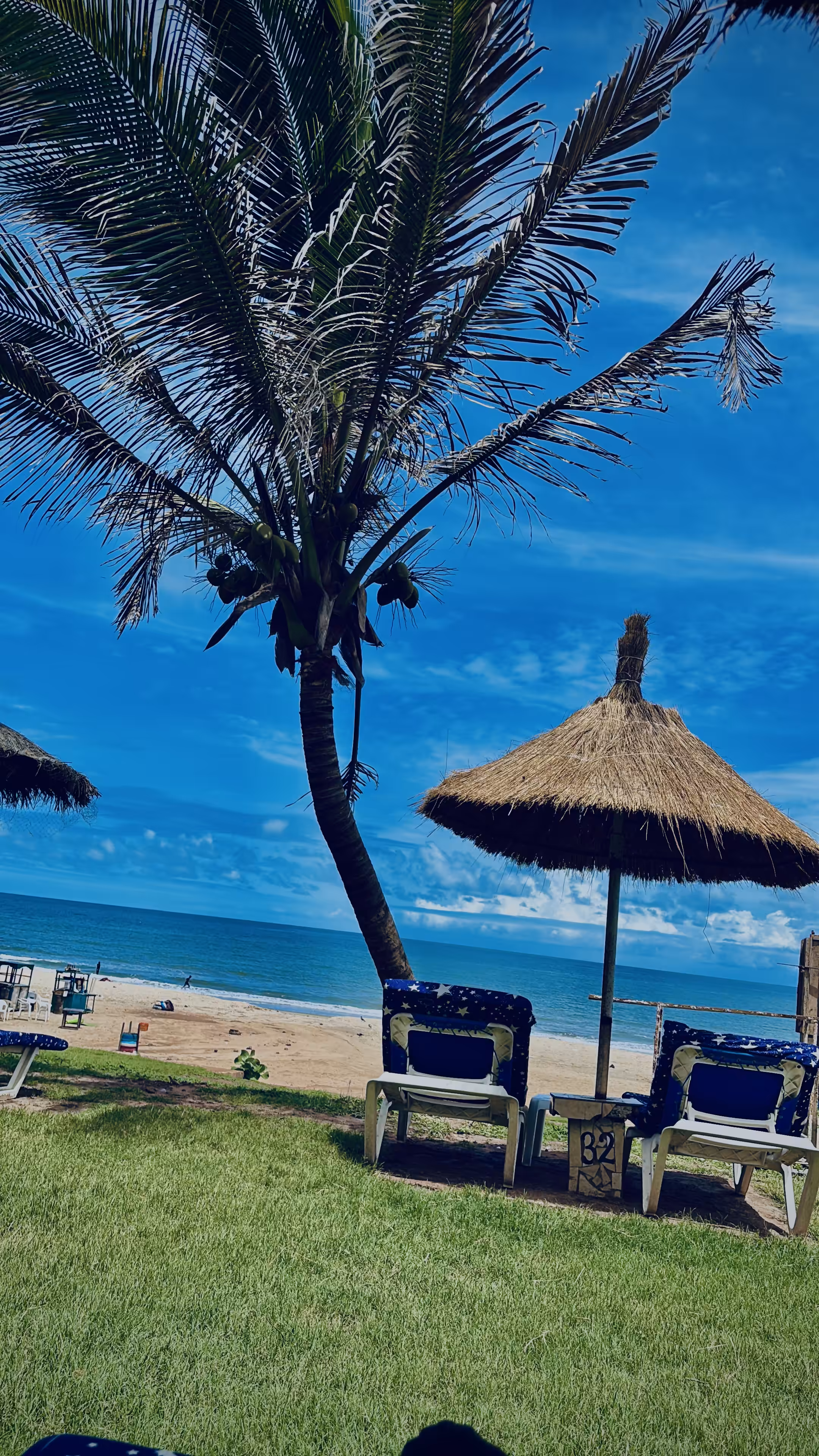 Palm-Side Serenity