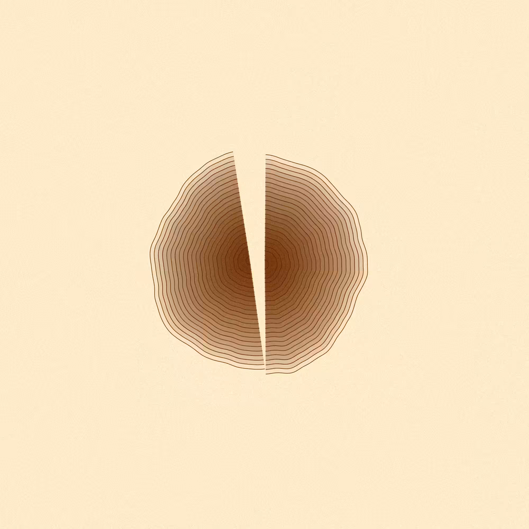 Hashed Onions #31