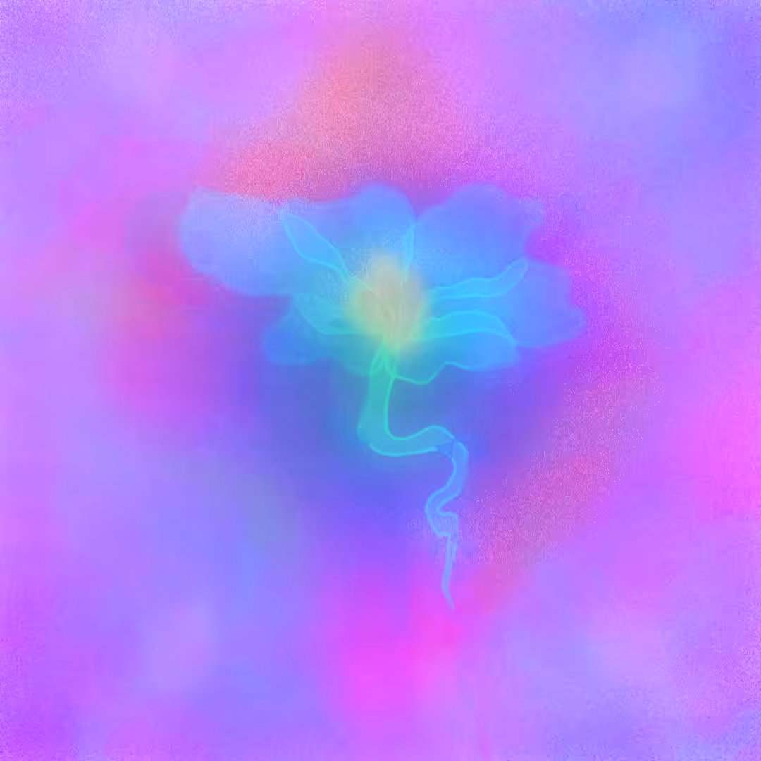 THE IMAGE OR VISION OF A FLOWER