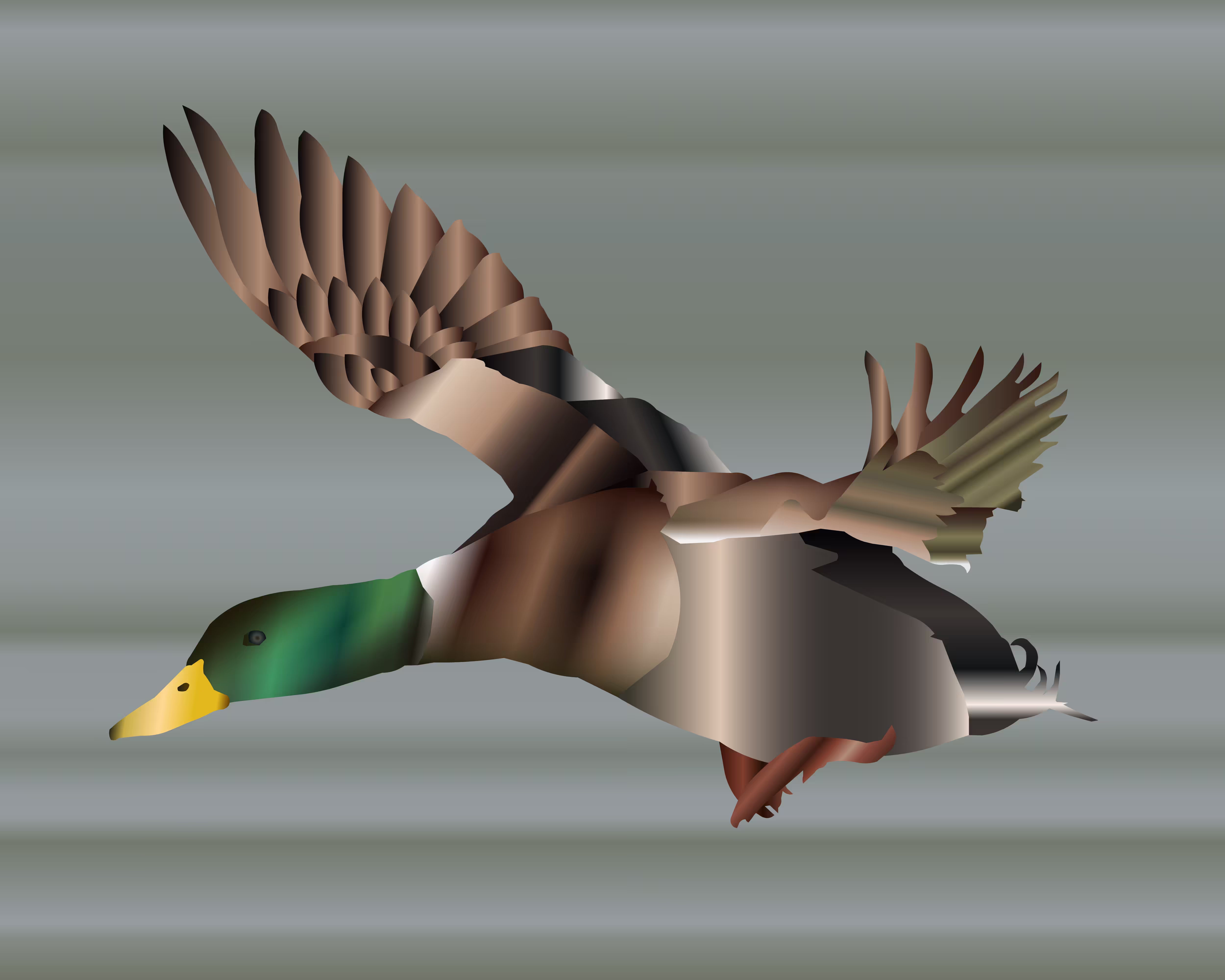 Flying duck