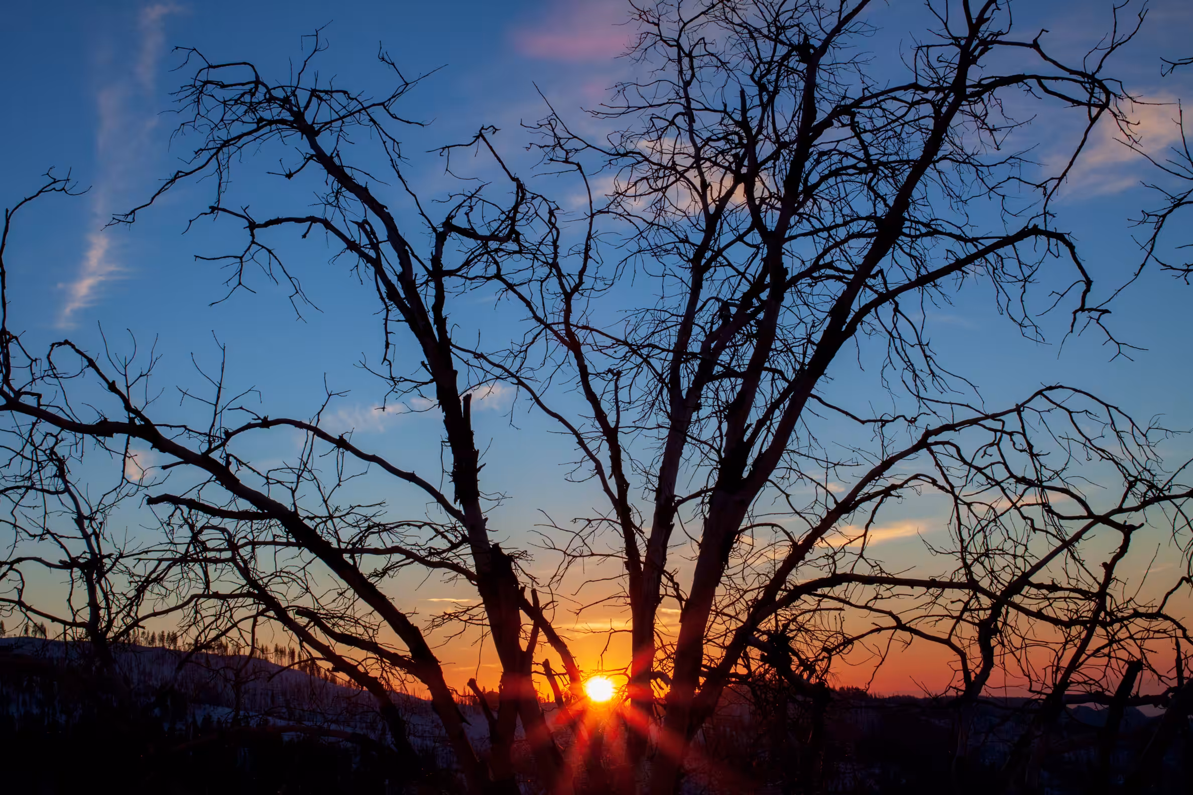 Charred Sunset