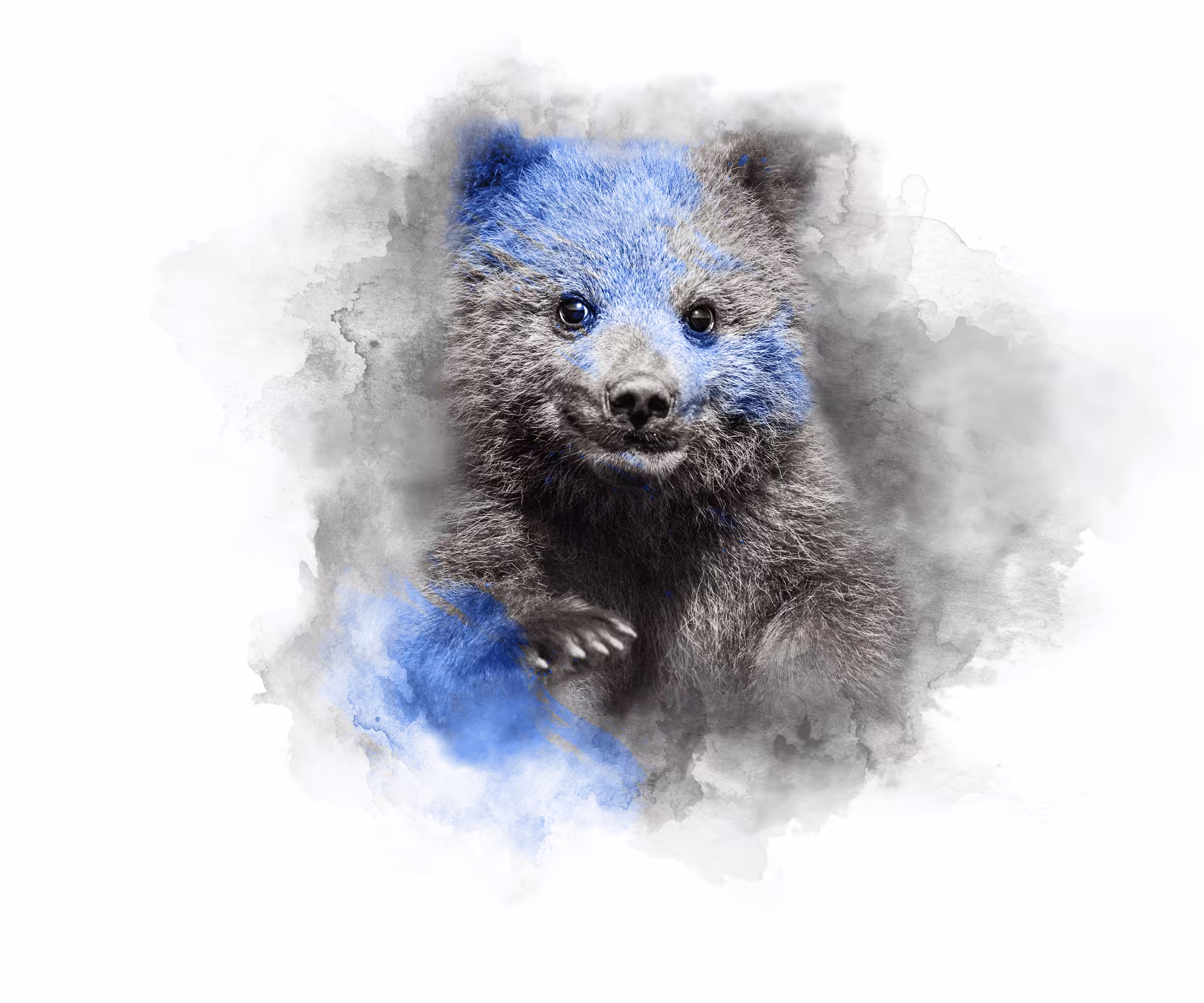 BLUE BABY - BEAR
