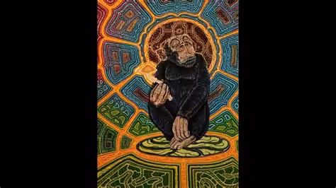monkey meditation