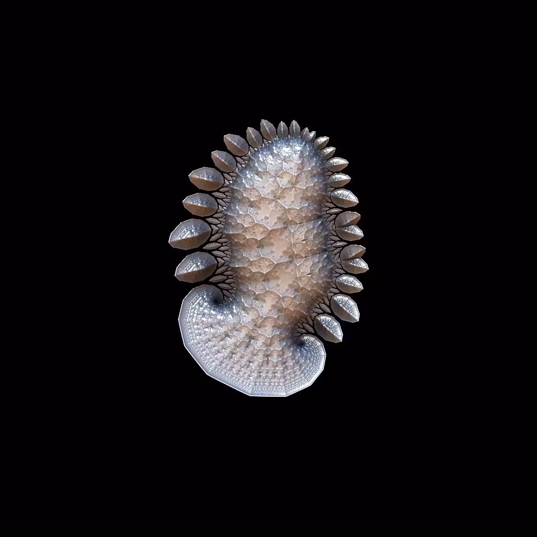 ISOPOD