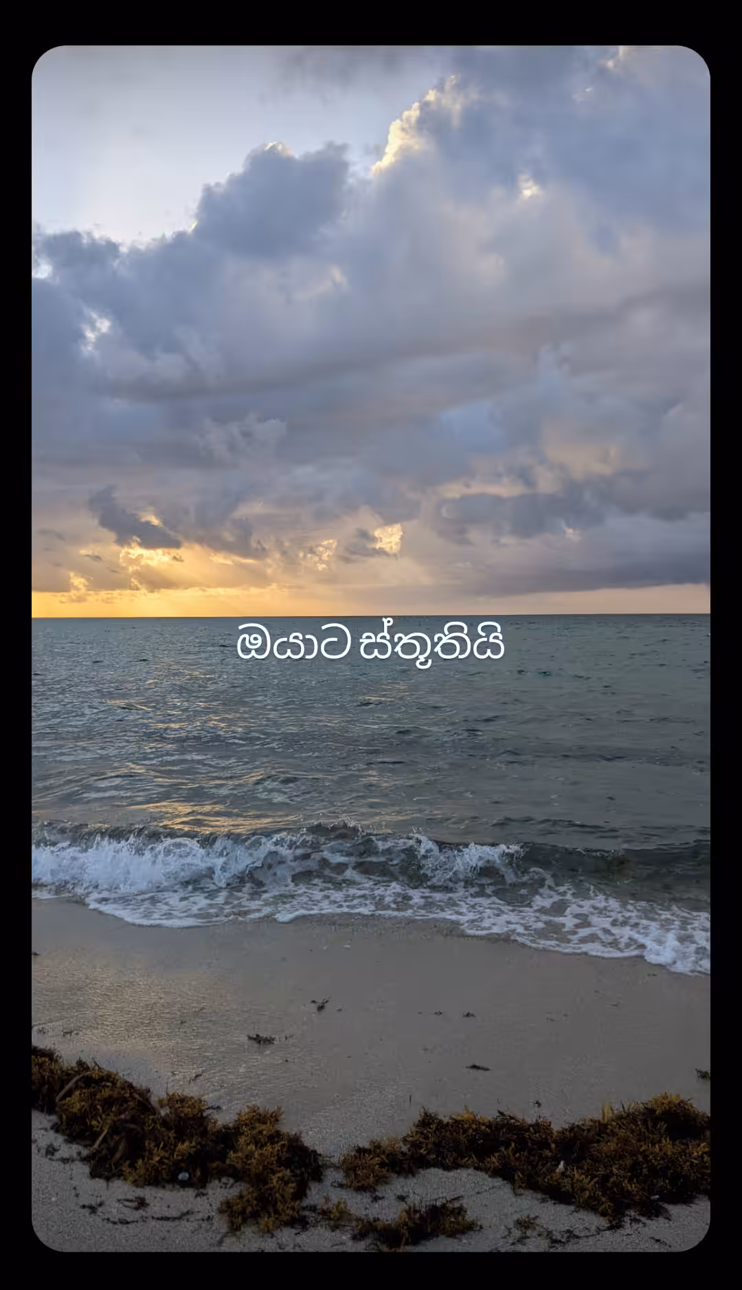 ඔබට ස්තුතියි