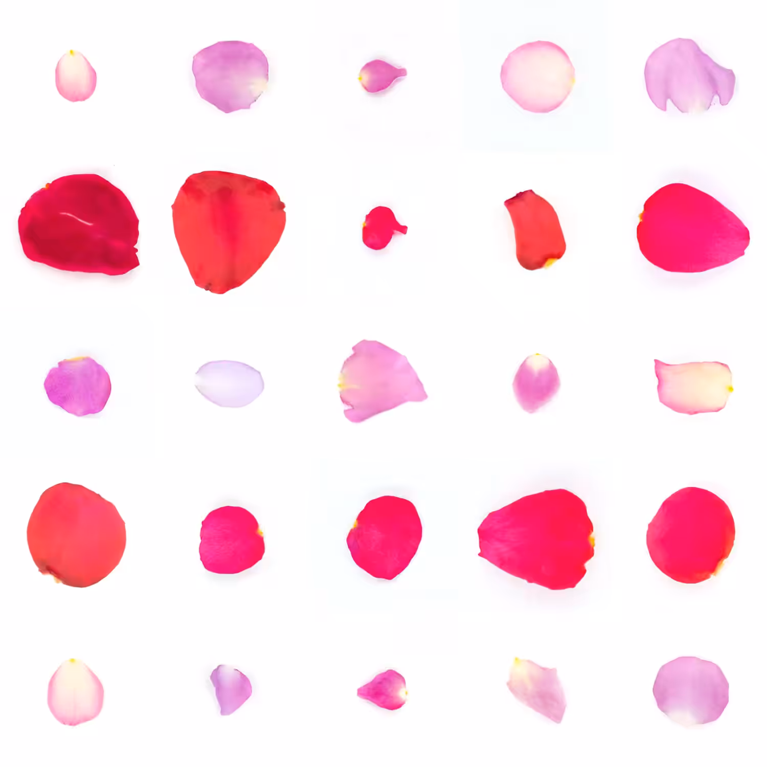 Infinite Petals 5x5#20398